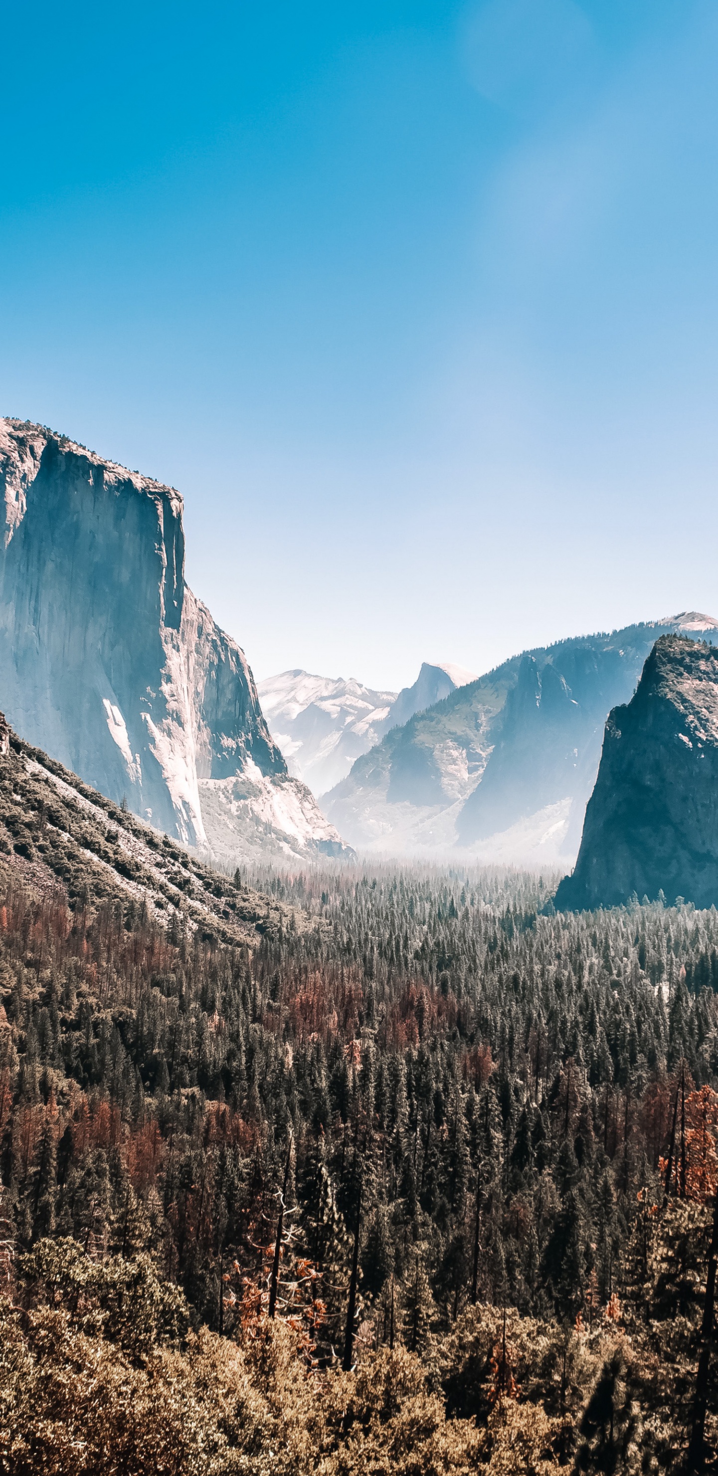 le Parc National de Yosemite, le Parc National De, la Vallée de Yosemite, Nature, Parc. Wallpaper in 1440x2960 Resolution