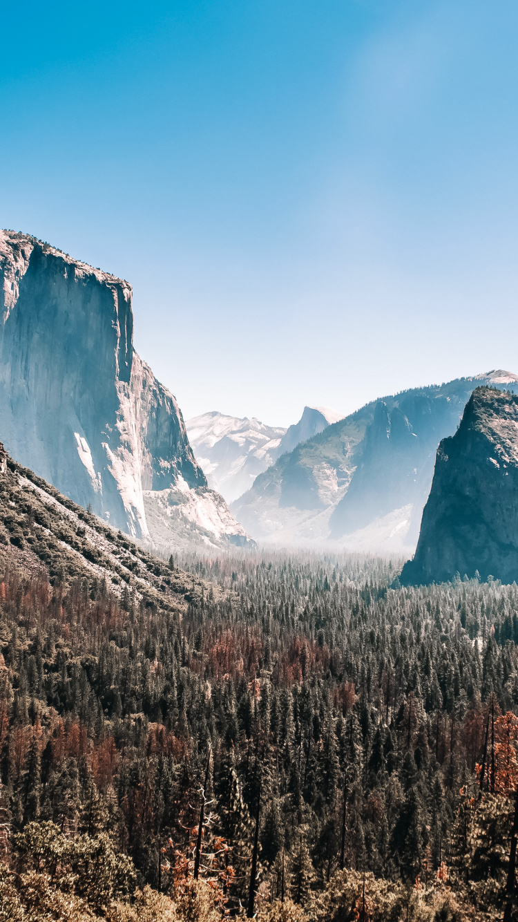 Yosemite National Park, National Park, Yosemite Valley, Nature, Mountain. Wallpaper in 750x1334 Resolution
