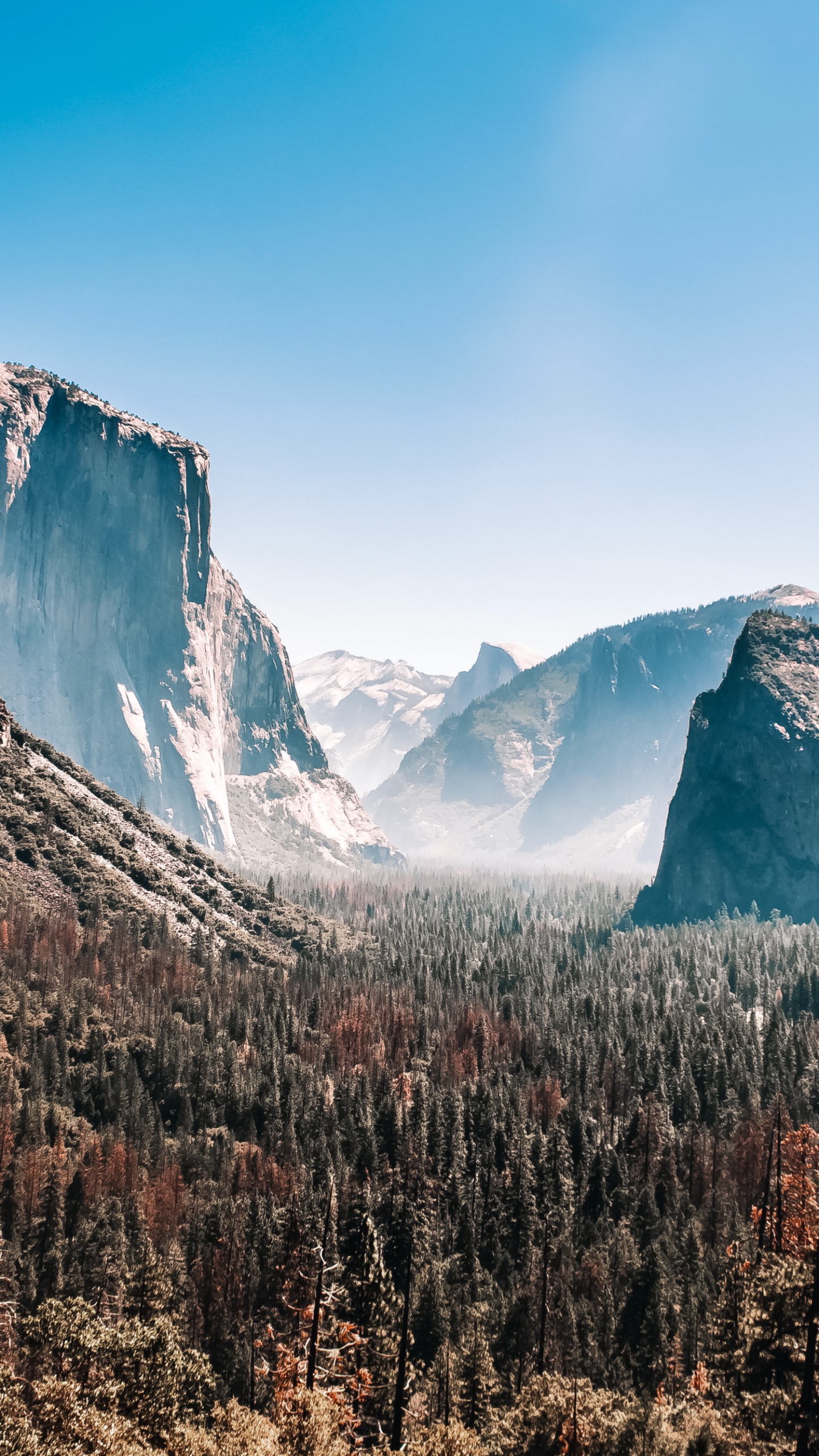 Yosemite National Park, Nationalpark, Yosemite Valley, Natur, Park. Wallpaper in 1440x2560 Resolution