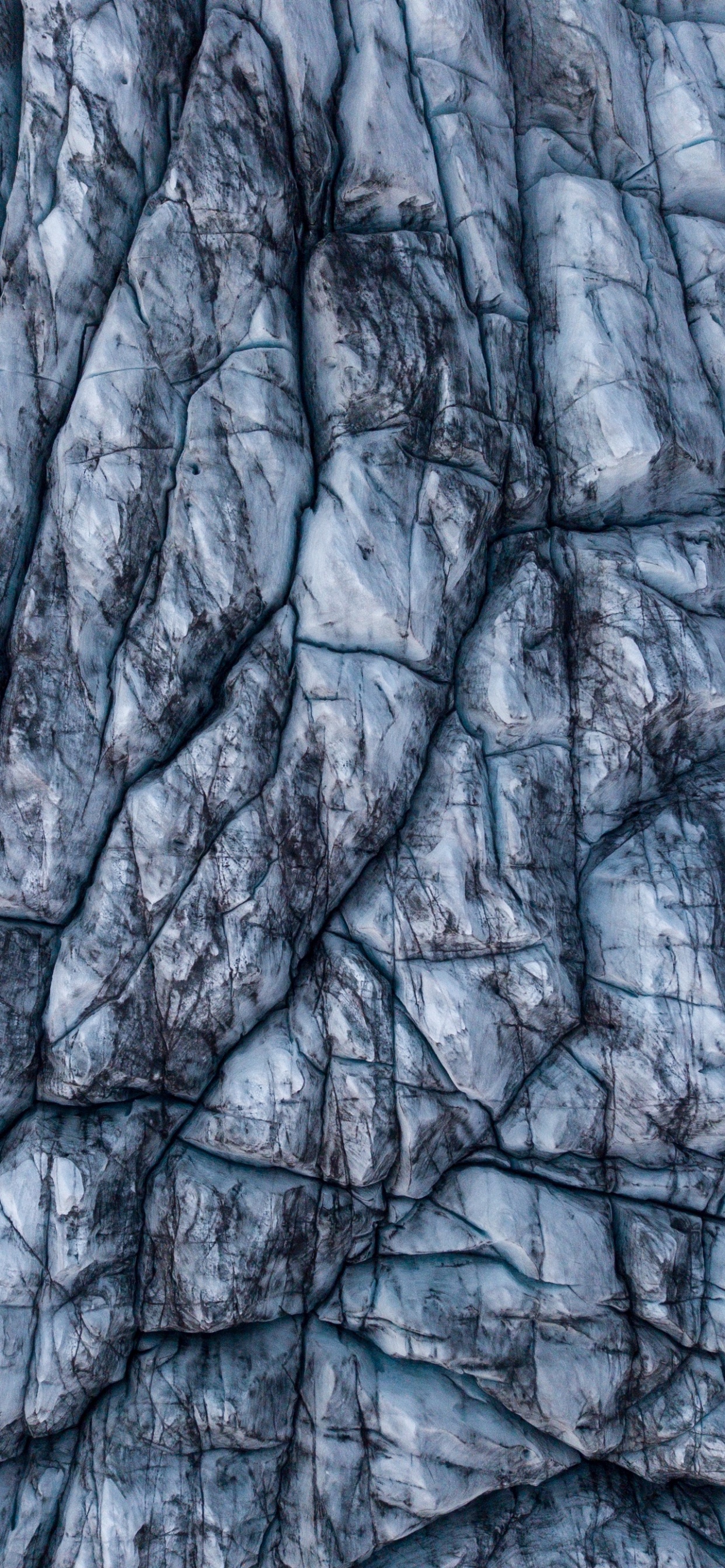 Tagsüber Brauner Baumstamm. Wallpaper in 1242x2688 Resolution