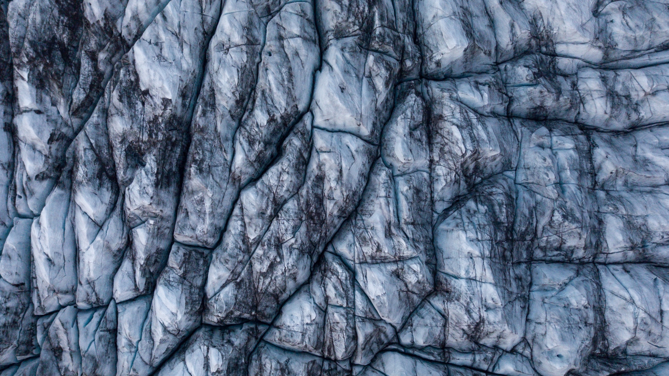 Brown Tree Trunk During Daytime. Wallpaper in 1366x768 Resolution