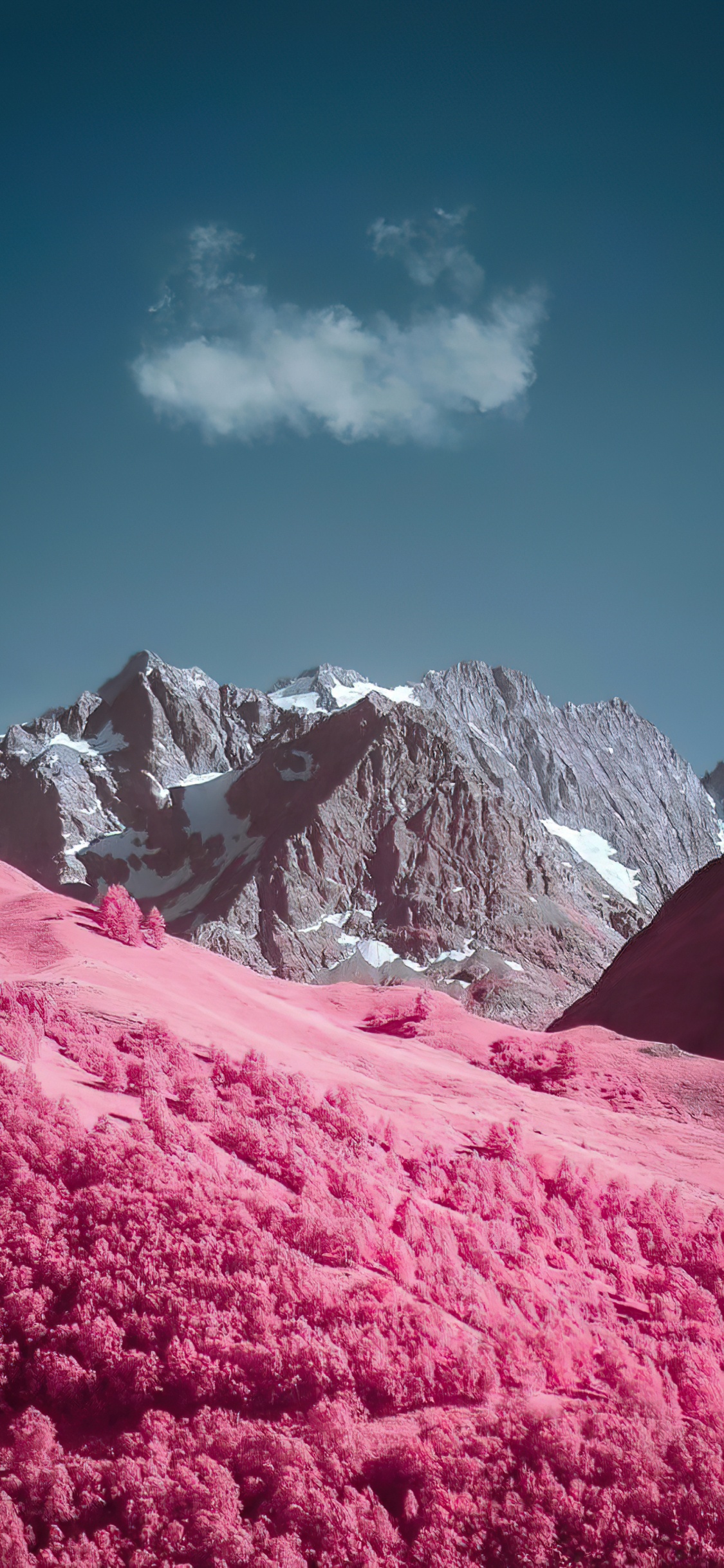 Apple, Smartphone, Paysage Naturel, Pente, Terrain. Wallpaper in 1125x2436 Resolution