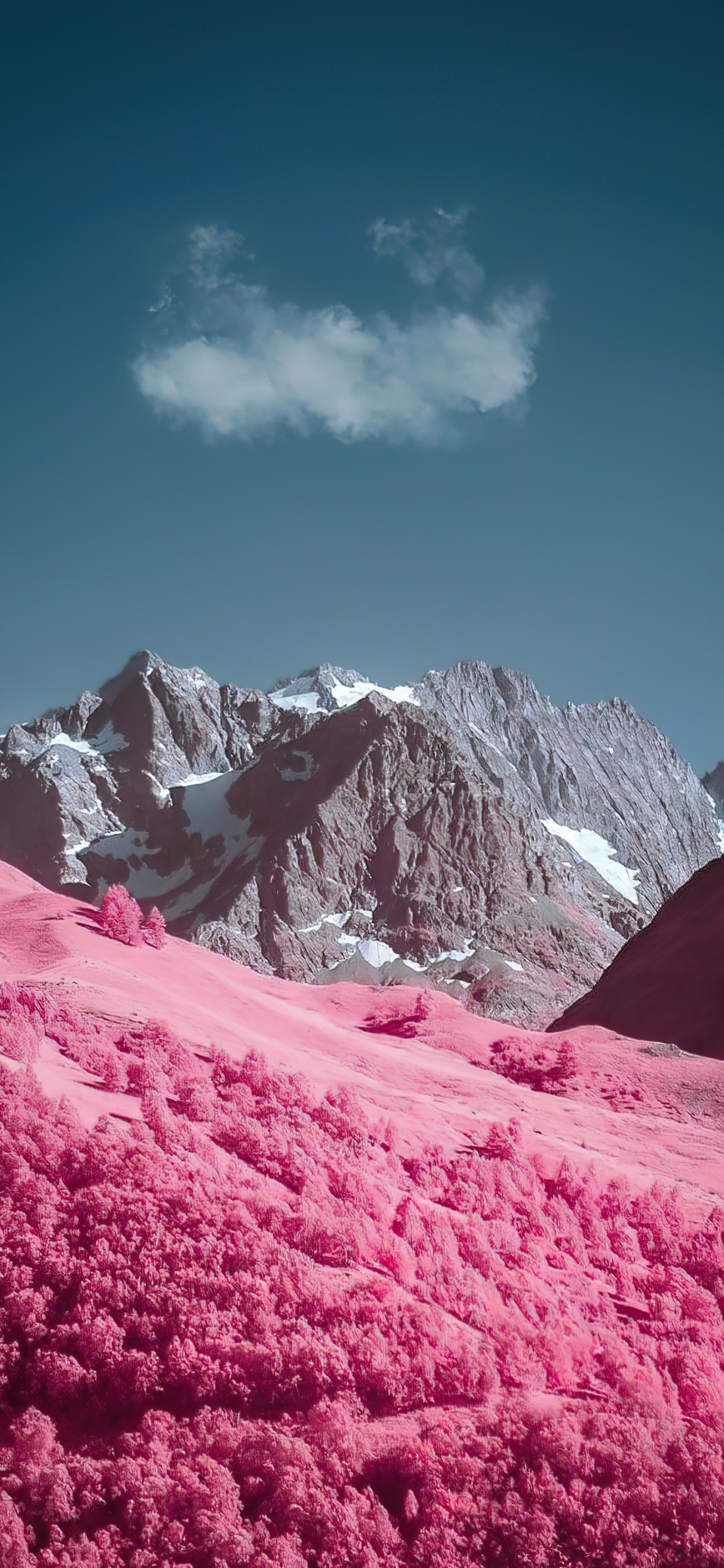 Manzana, Smartphone, Montaña, Paisaje Natural, Pendiente. Wallpaper in 1242x2688 Resolution