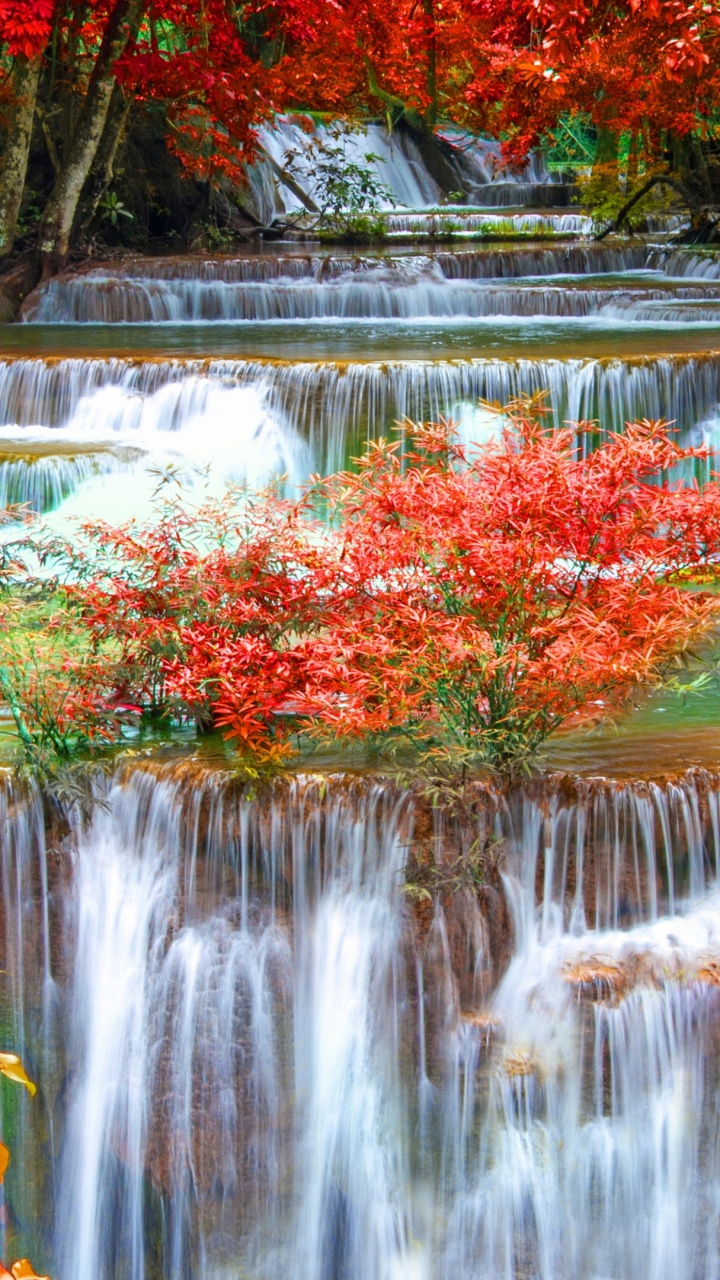 el Agua Cae en Medio de Los Árboles. Wallpaper in 720x1280 Resolution