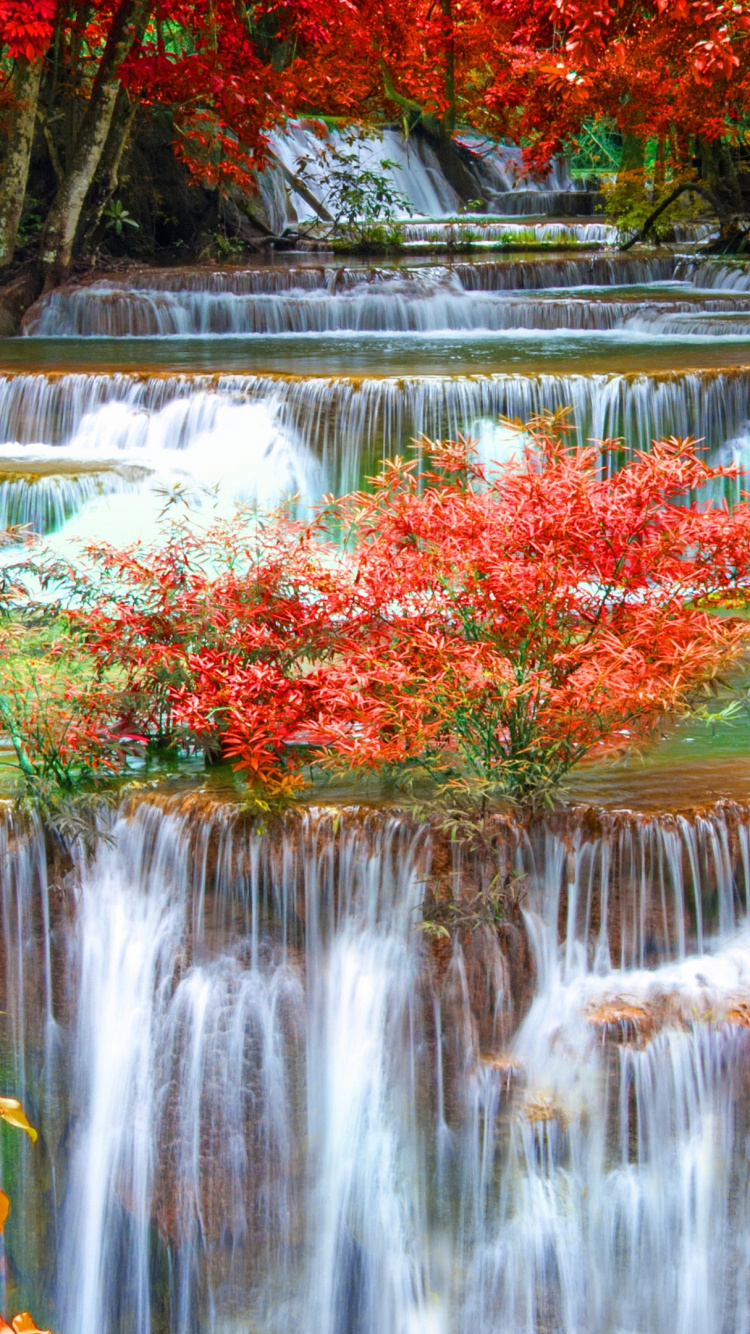 el Agua Cae en Medio de Los Árboles. Wallpaper in 750x1334 Resolution