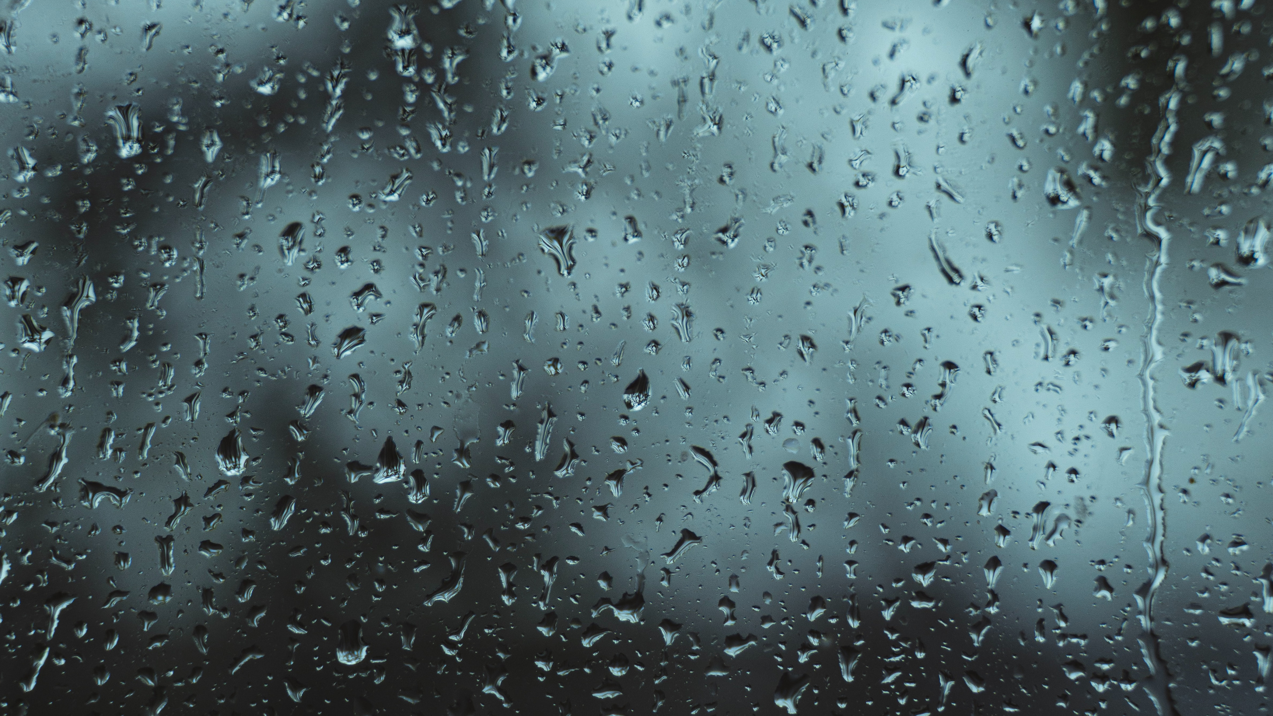Gotas de Agua en la Ventana de Vidrio. Wallpaper in 2560x1440 Resolution