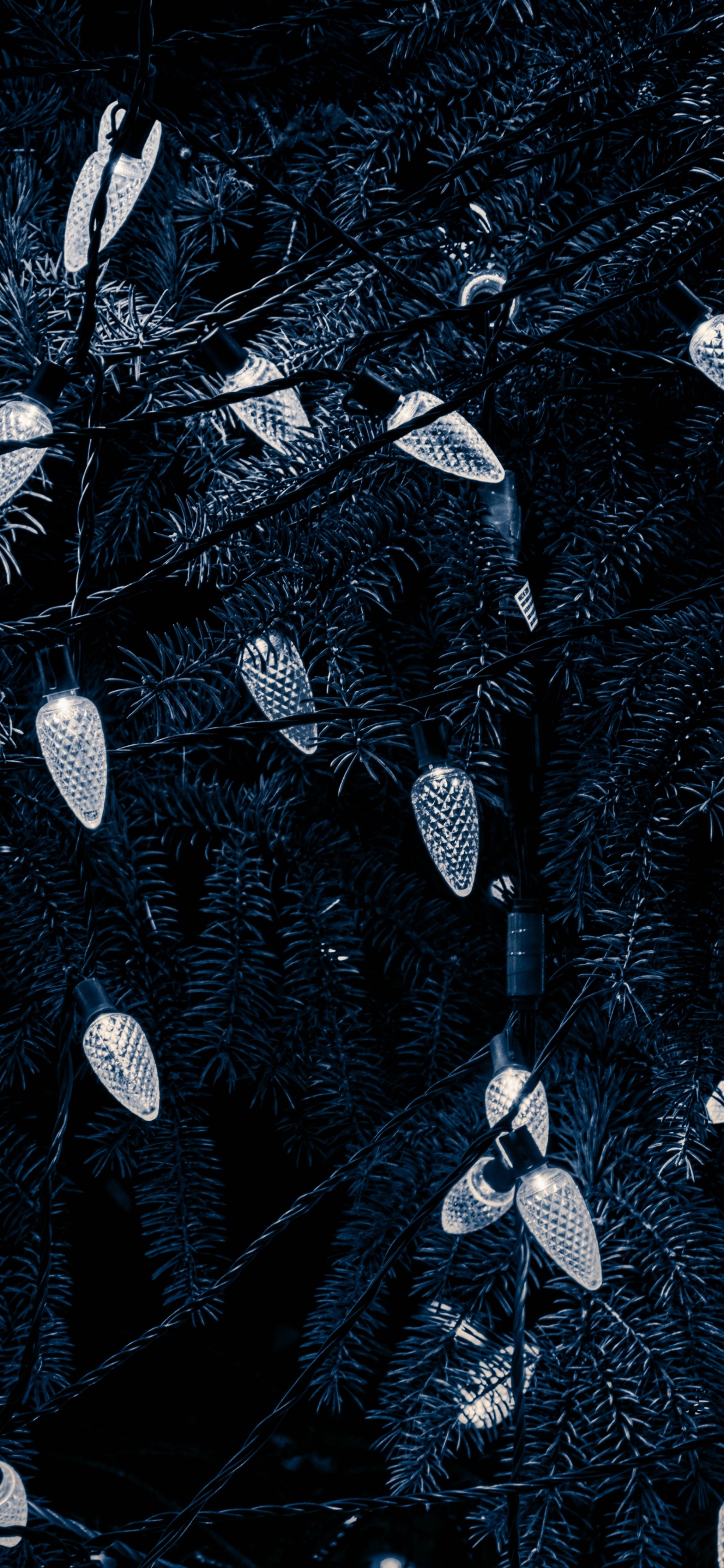 Black, Water, Tree, Pattern, Black and White. Wallpaper in 1242x2688 Resolution