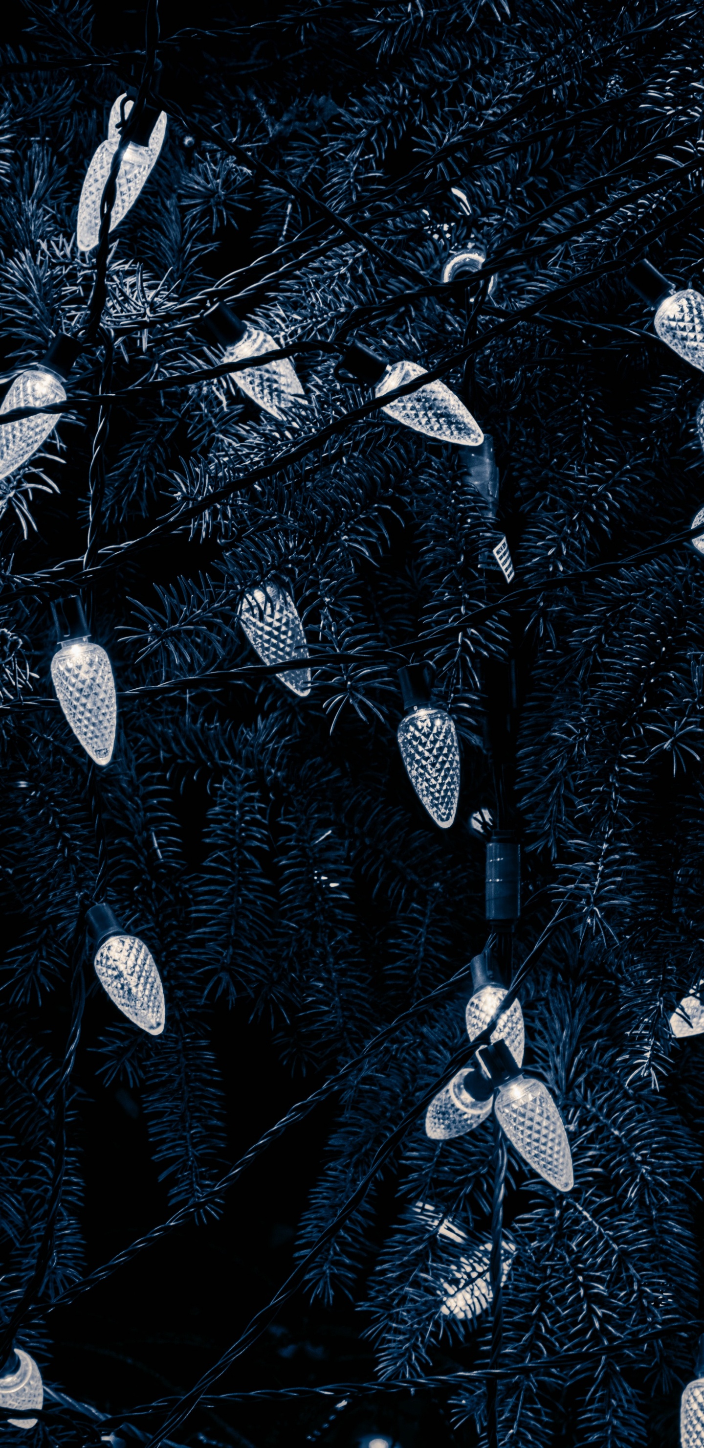 Negro, Agua, Patrón, en Blanco y Negro, Diseño. Wallpaper in 1440x2960 Resolution
