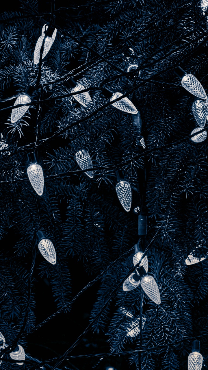 Schwarz, Wasser, Baum, Muster, Schwarz Und Weiß. Wallpaper in 720x1280 Resolution