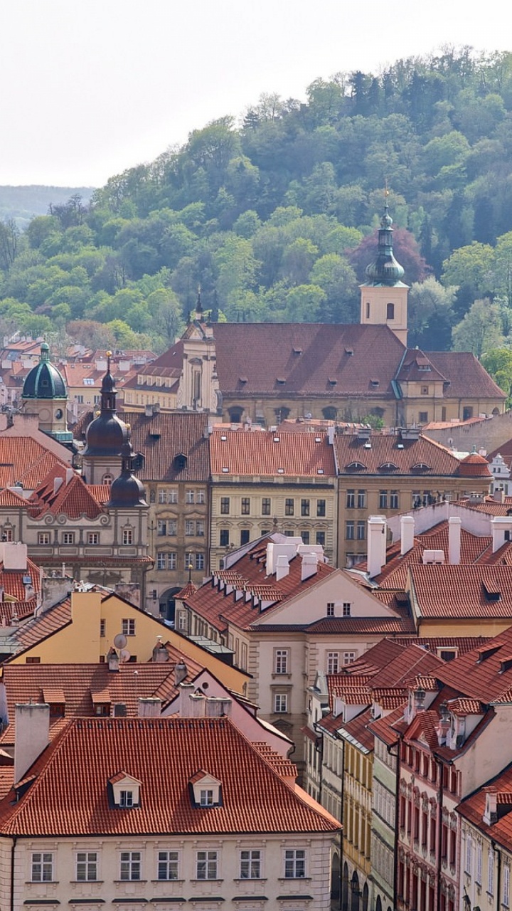Brown and White Concrete Houses Near Green Trees During Daytime. Wallpaper in 720x1280 Resolution