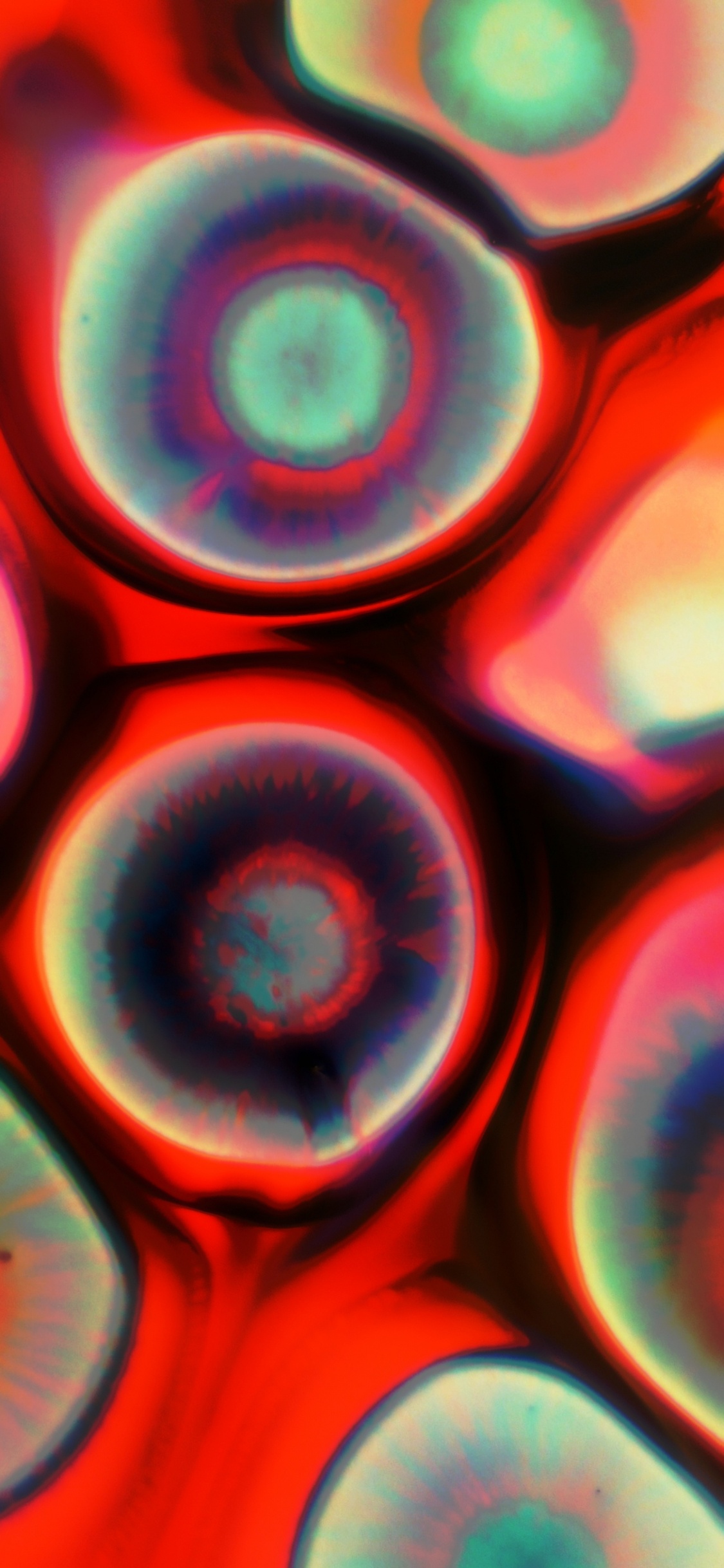 Fermer, la Pureté de la Couleur, Lumière, Red, Art. Wallpaper in 1125x2436 Resolution