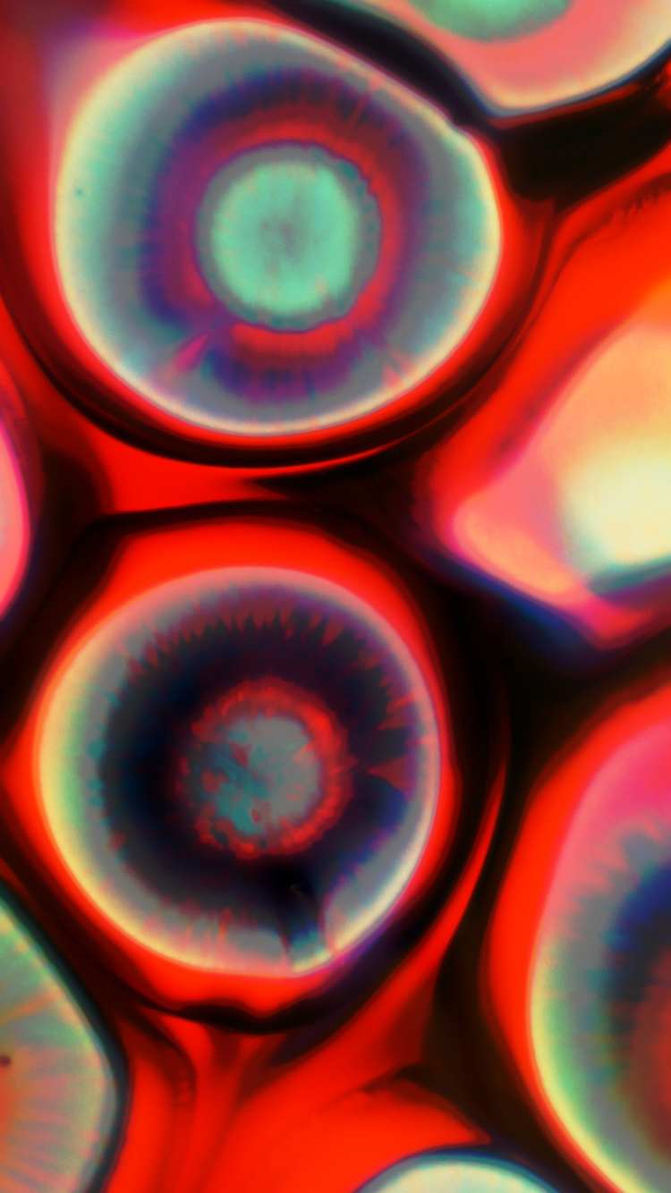 Fermer, la Pureté de la Couleur, Lumière, Red, Art. Wallpaper in 750x1334 Resolution