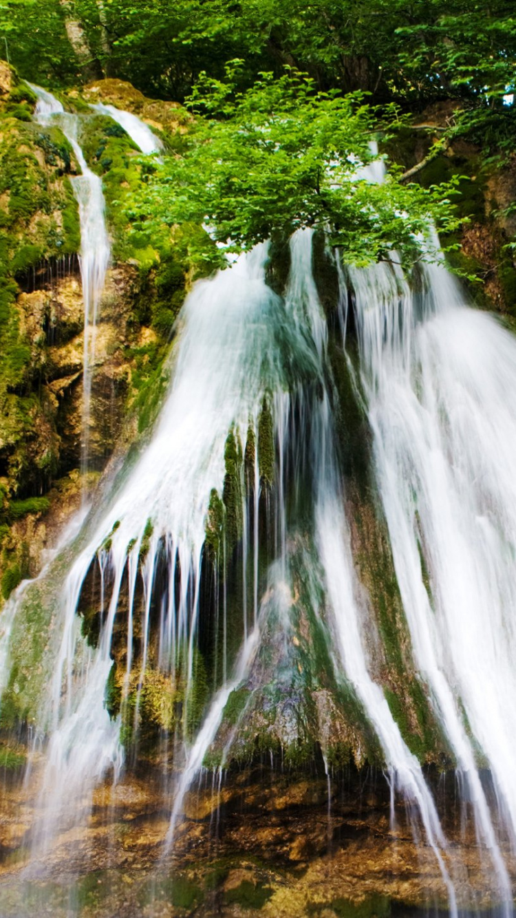 Wasser Fällt im Wald. Wallpaper in 750x1334 Resolution