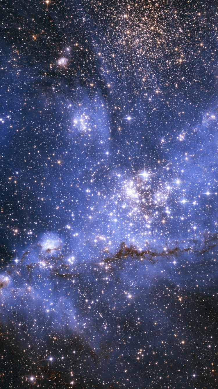 Blau-weiße Sternennacht. Wallpaper in 750x1334 Resolution