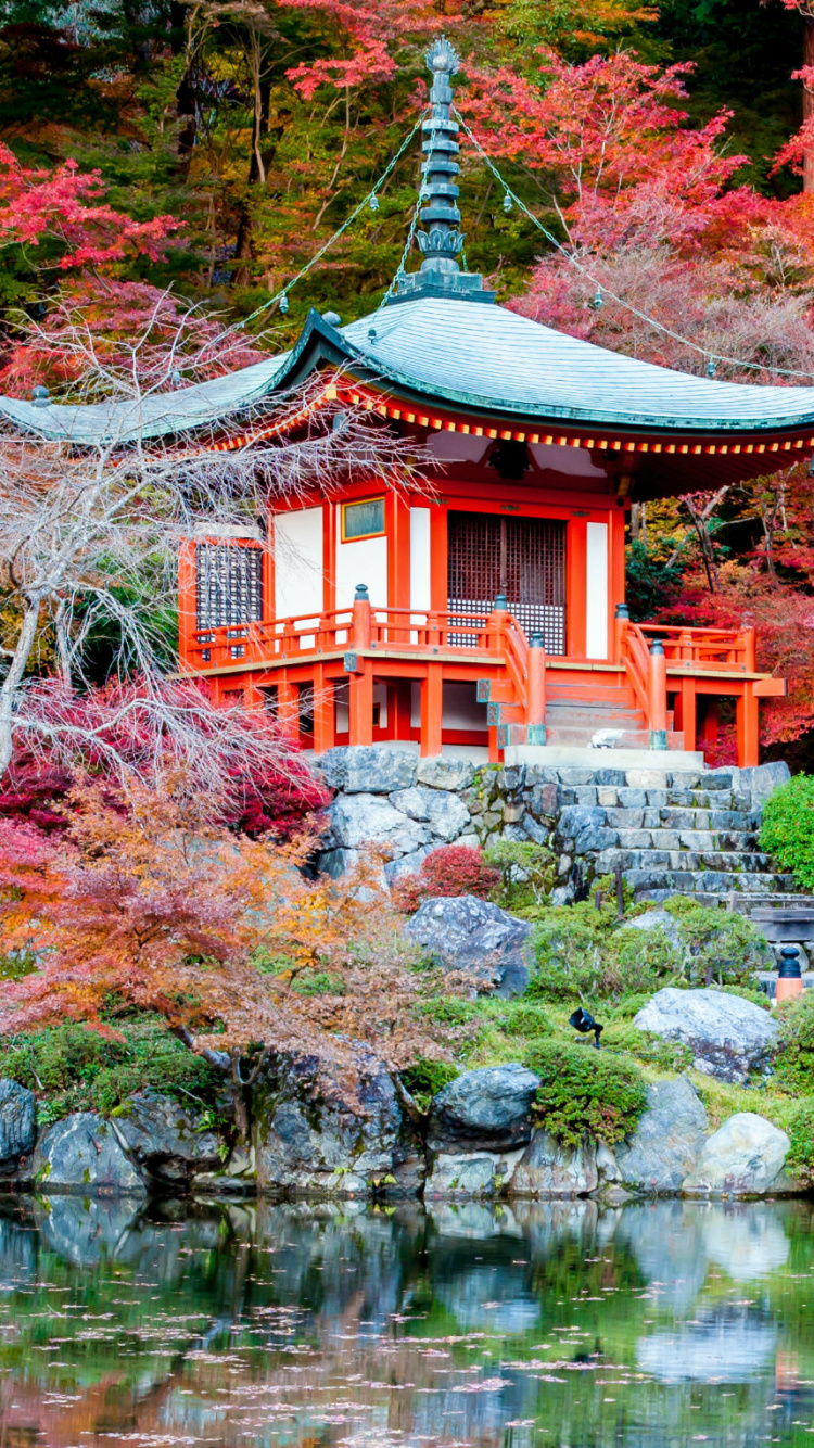 性质, 反射, 中国建筑, 寺庙, 醍醐-ji 壁纸 750x1334 允许