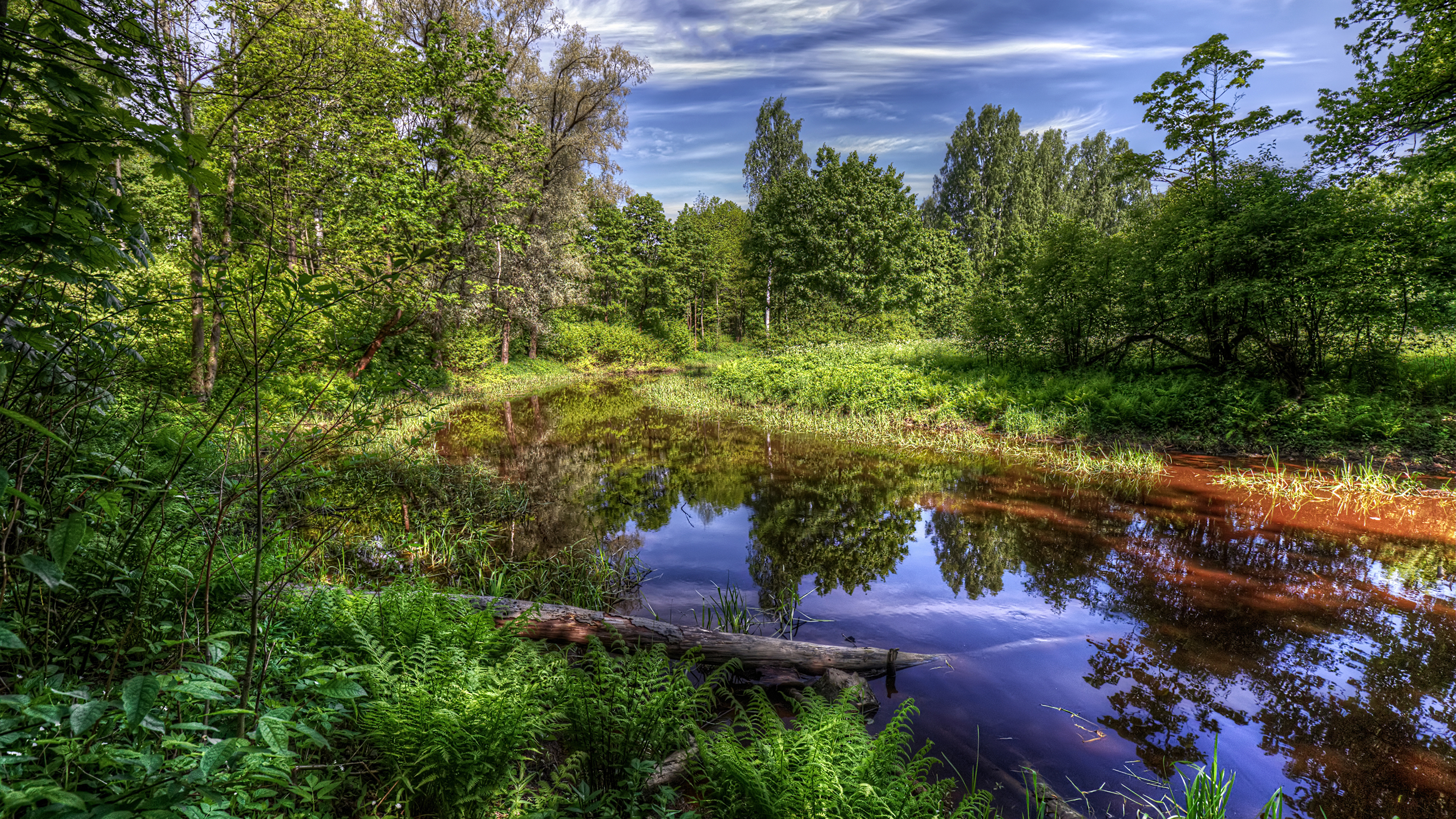 Green Trees Beside River Under Blue Sky During Daytime. Wallpaper in 3840x2160 Resolution