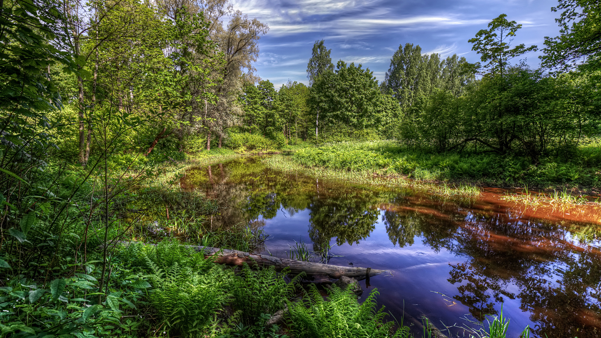 Árboles Verdes Junto al Río Bajo un Cielo Azul Durante el Día. Wallpaper in 1920x1080 Resolution