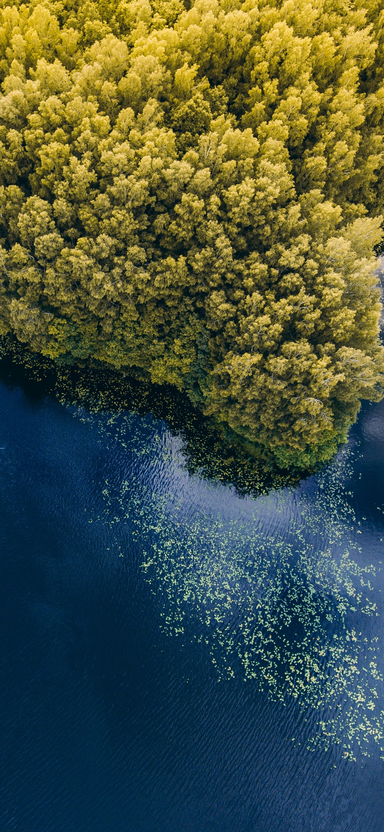 Eau, Réflexion, Nature, Paysage Naturel, Blue. Wallpaper in 1242x2688 Resolution