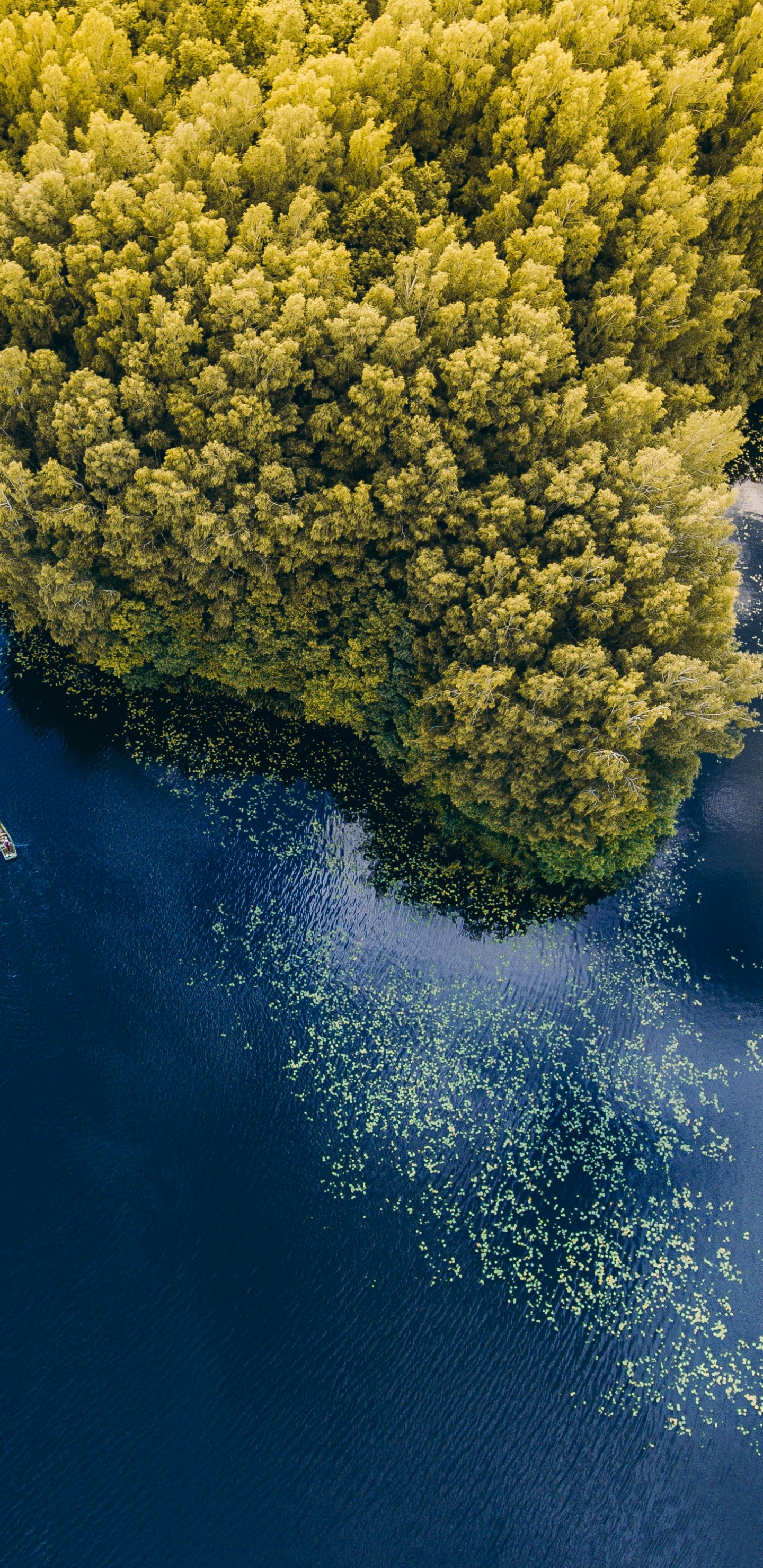 Eau, Réflexion, Nature, Paysage Naturel, Blue. Wallpaper in 1440x2960 Resolution