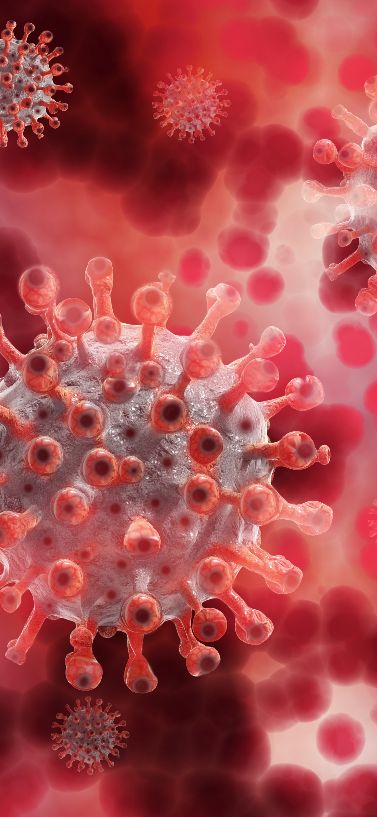 Virus, Coronavirus, COVID-19, Pandemia, Vacuna Para el COVID-19. Wallpaper in 1242x2688 Resolution