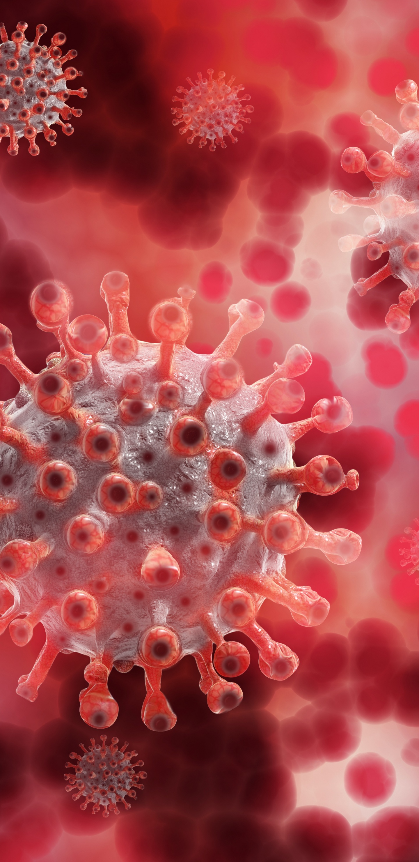 Virus, Coronavirus, COVID-19, Pandémie, Vaccin Contre le Covid-19. Wallpaper in 1440x2960 Resolution