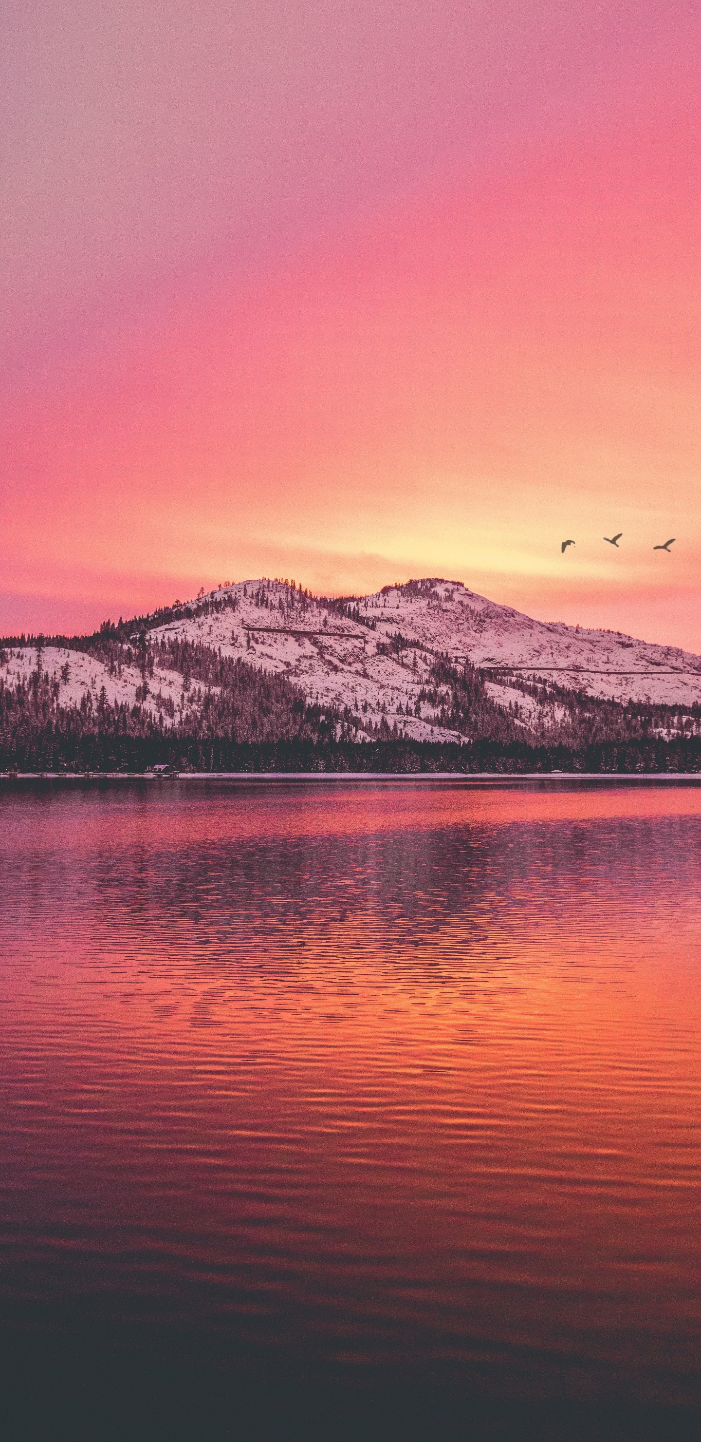 Lac, Nature, Macédoine du Nord, Eau, Atmosphère. Wallpaper in 1440x2960 Resolution