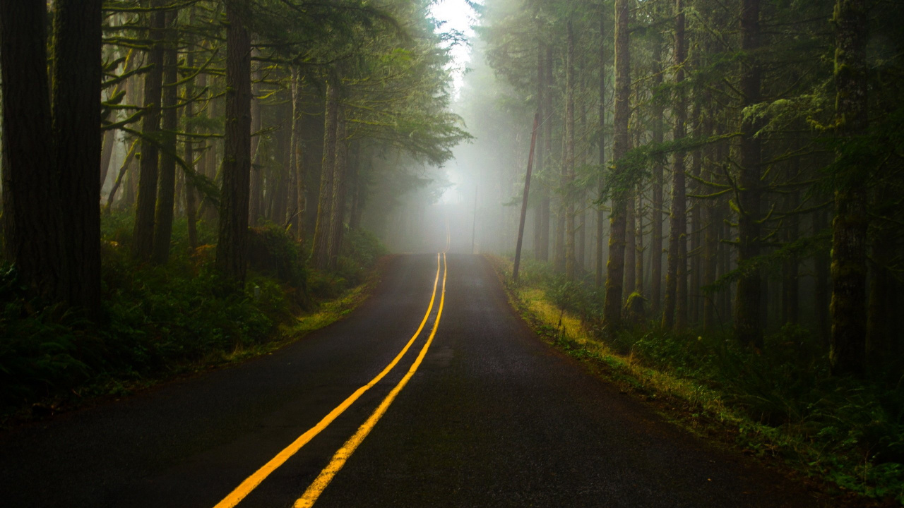 Black Asphalt Road in The Middle of Green Trees. Wallpaper in 1280x720 Resolution