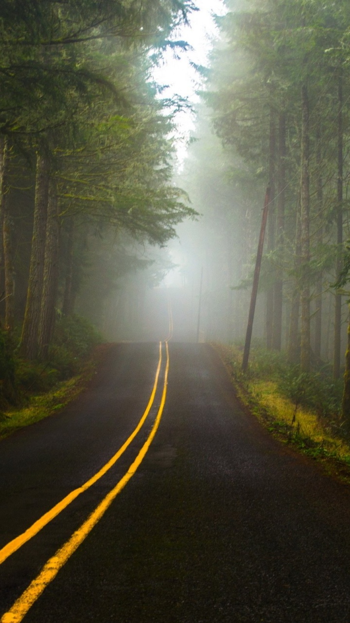 Black Asphalt Road in The Middle of Green Trees. Wallpaper in 720x1280 Resolution