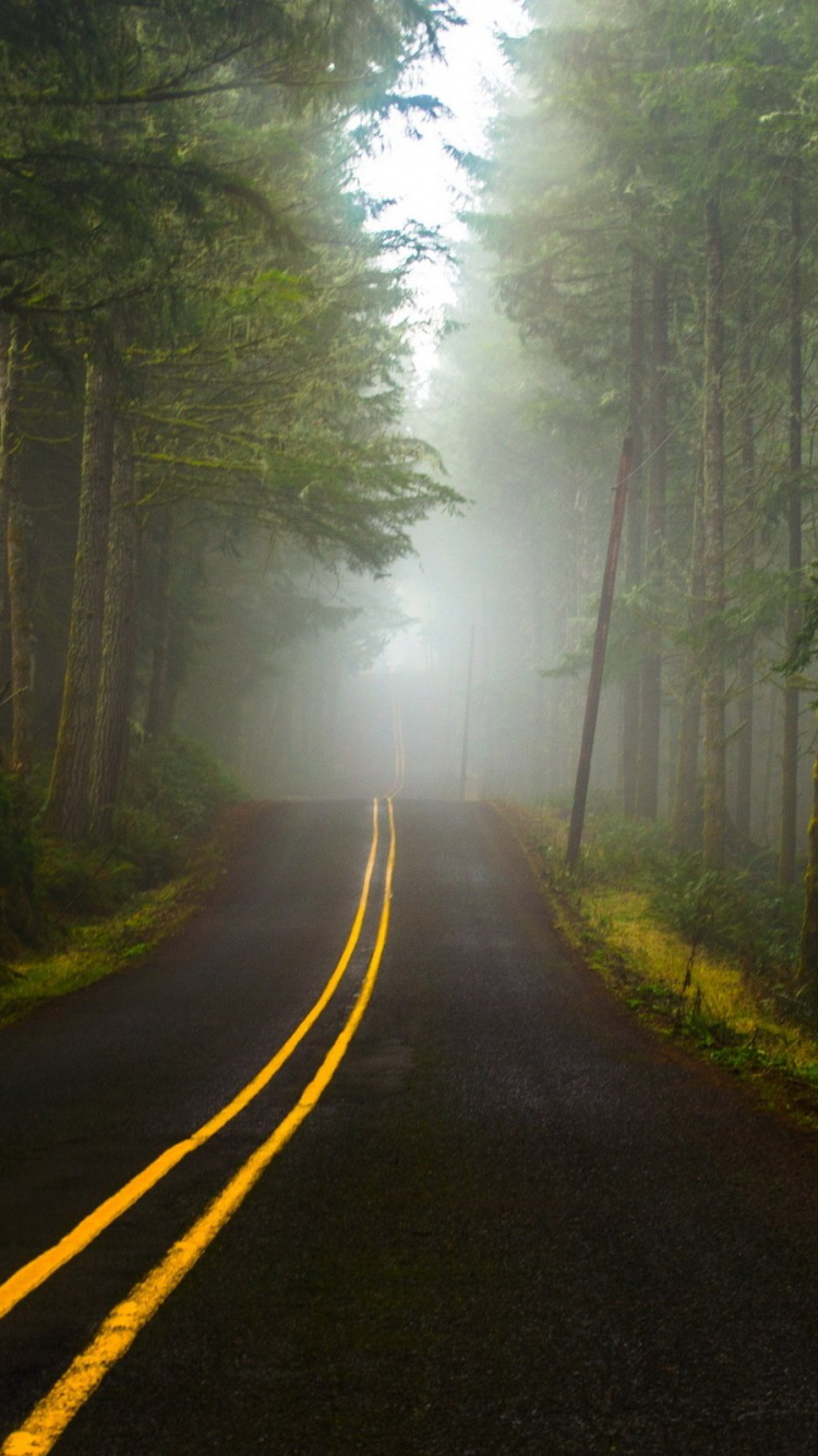 Route Goudronnée Noire au Milieu Des Arbres Verts. Wallpaper in 750x1334 Resolution