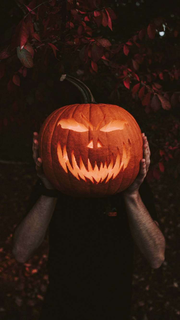 Jack o Lantern Con Luz. Wallpaper in 750x1334 Resolution