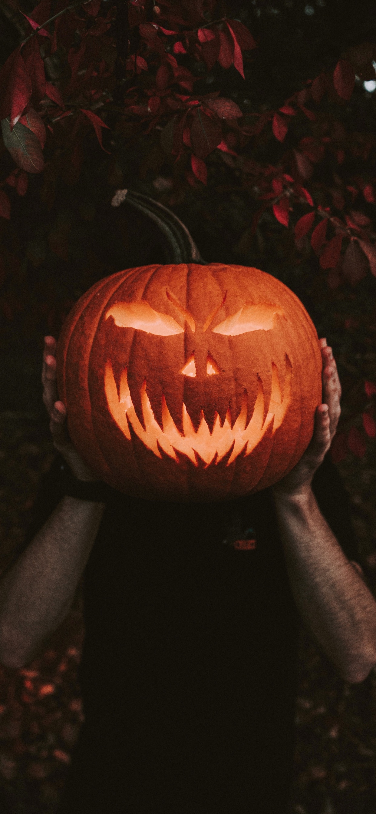 Jack o Laterne Mit Licht. Wallpaper in 1242x2688 Resolution