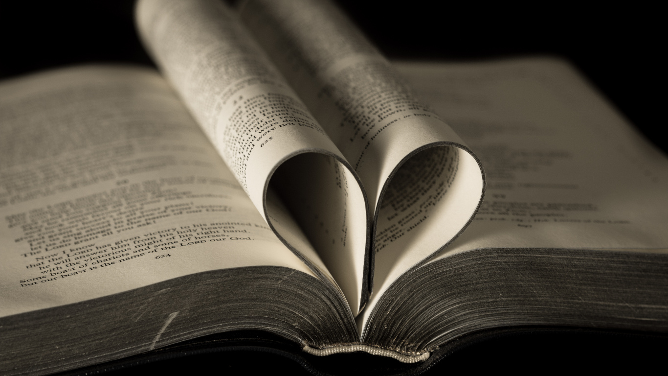 Libro, Texto, Papel, Publicación, Coraz. Wallpaper in 1366x768 Resolution