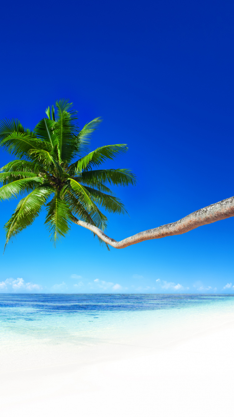 大海, 岸边, 热带地区, 海洋, 加勒比 壁纸 750x1334 允许