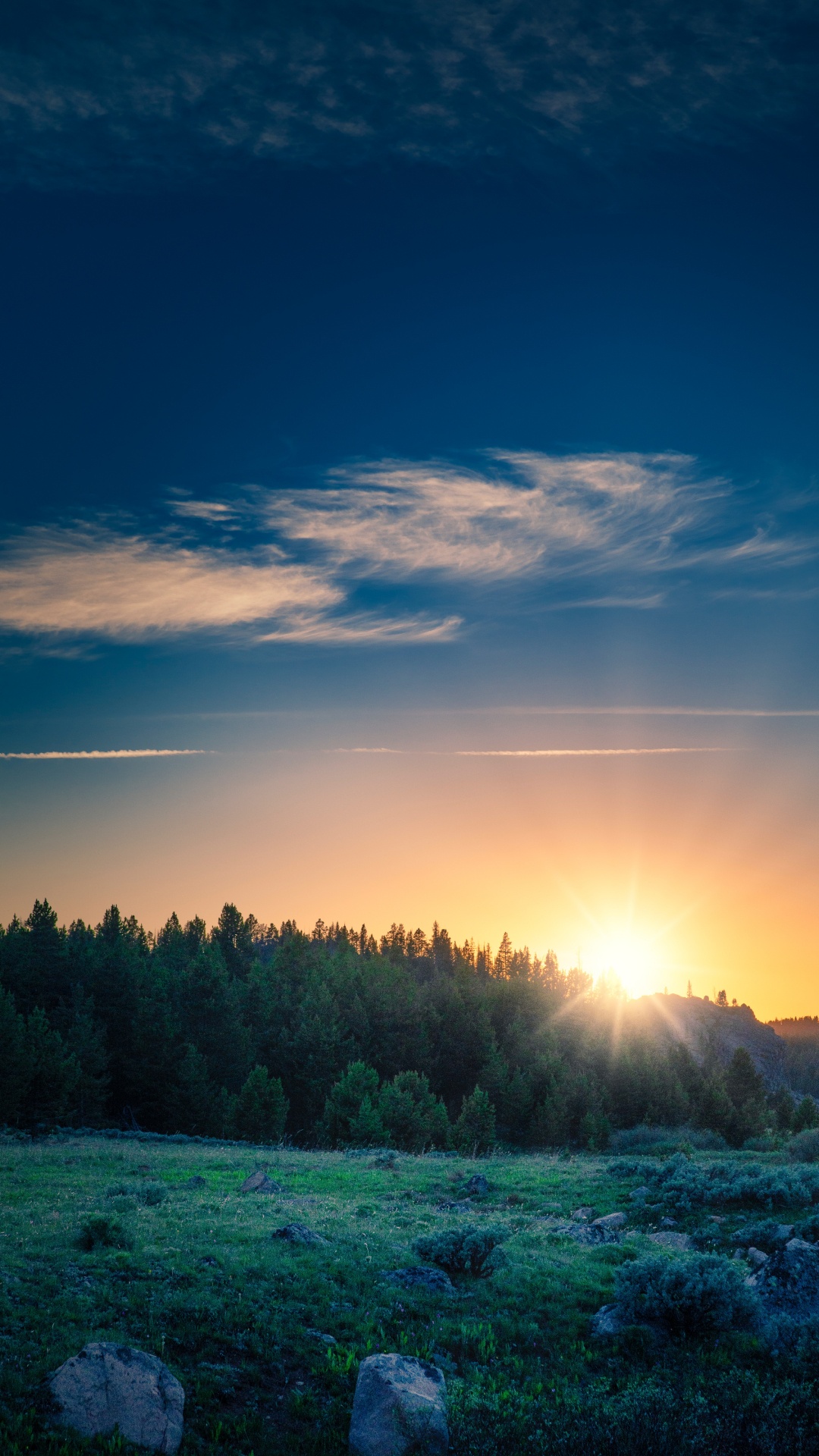 Sunrise, Cloud, Atmosphere, Plant, Blue. Wallpaper in 1080x1920 Resolution