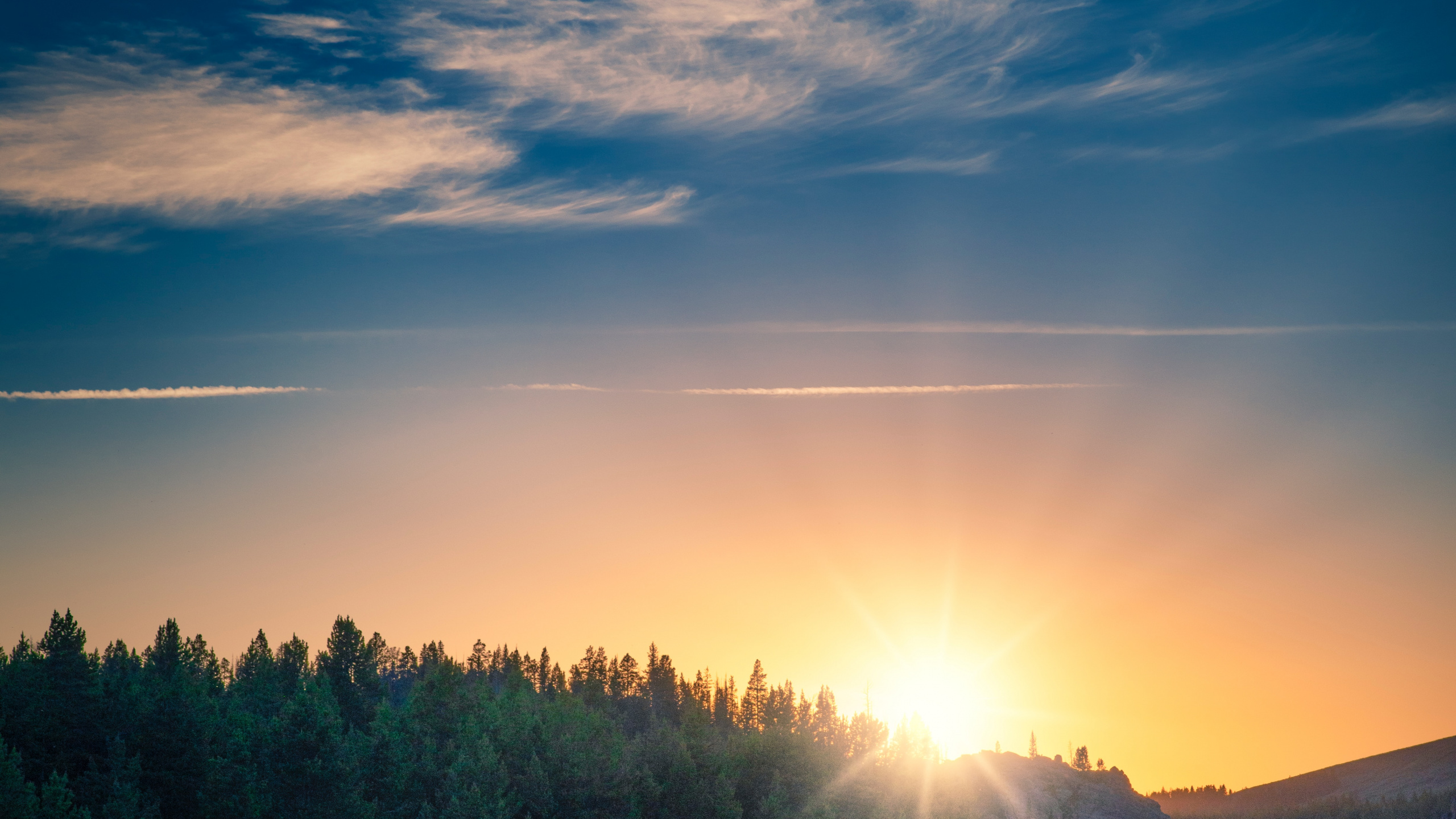 Sunrise, Cloud, Atmosphere, Plant, Blue. Wallpaper in 2560x1440 Resolution