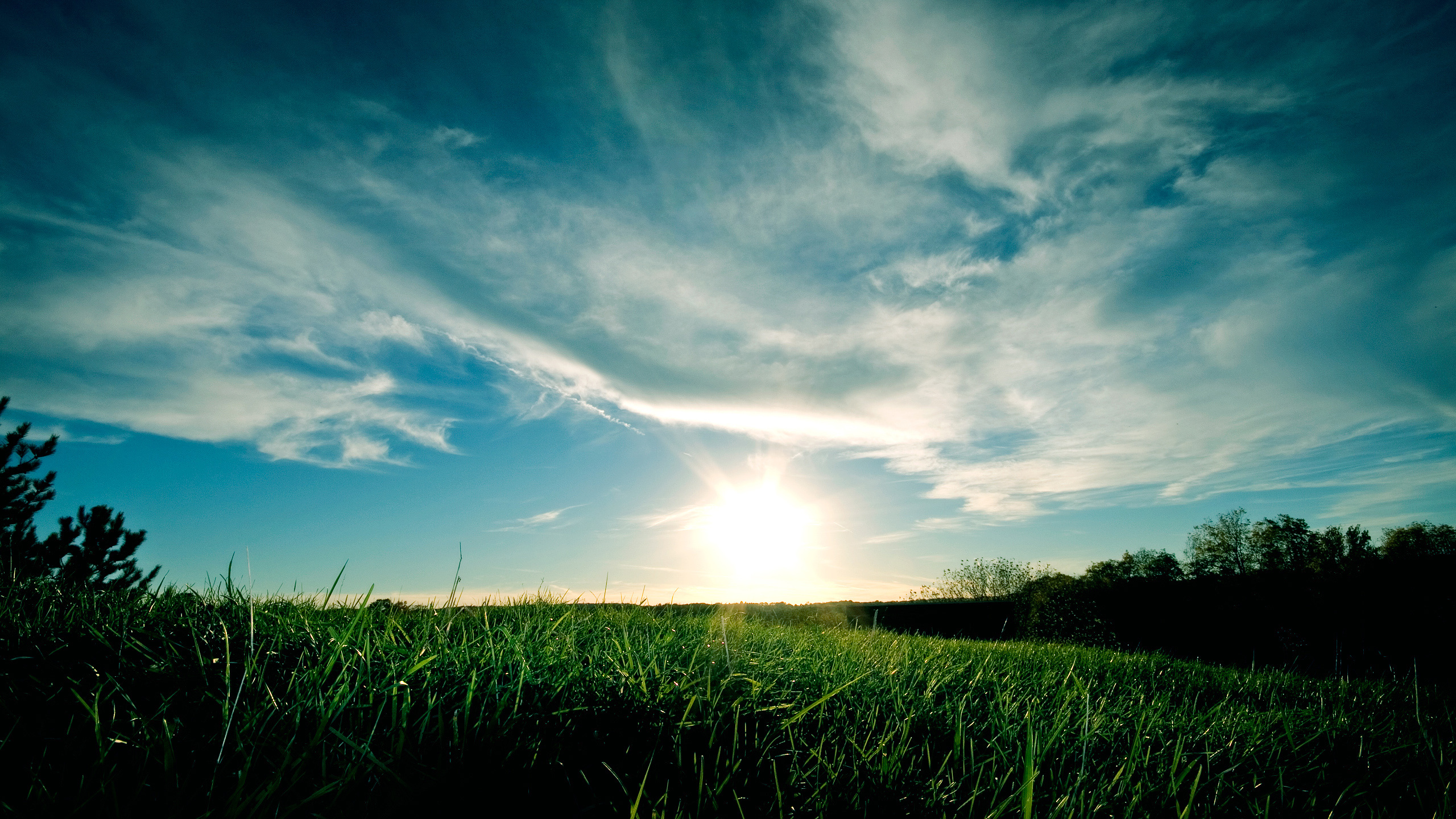 Green Grass Field Under Blue Sky During Daytime. Wallpaper in 2560x1440 Resolution