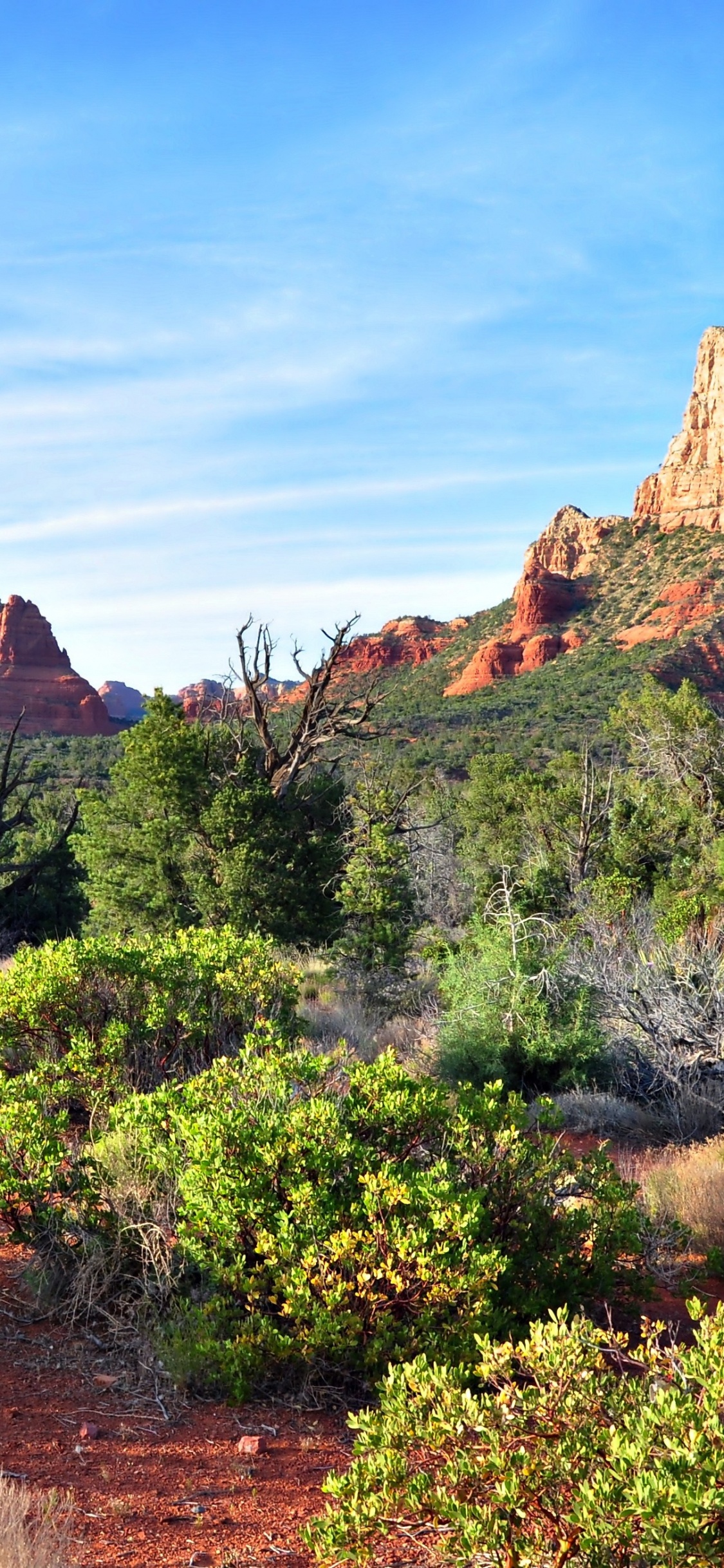 Green Trees and Brown Mountain Under Blue Sky During Daytime. Wallpaper in 1125x2436 Resolution