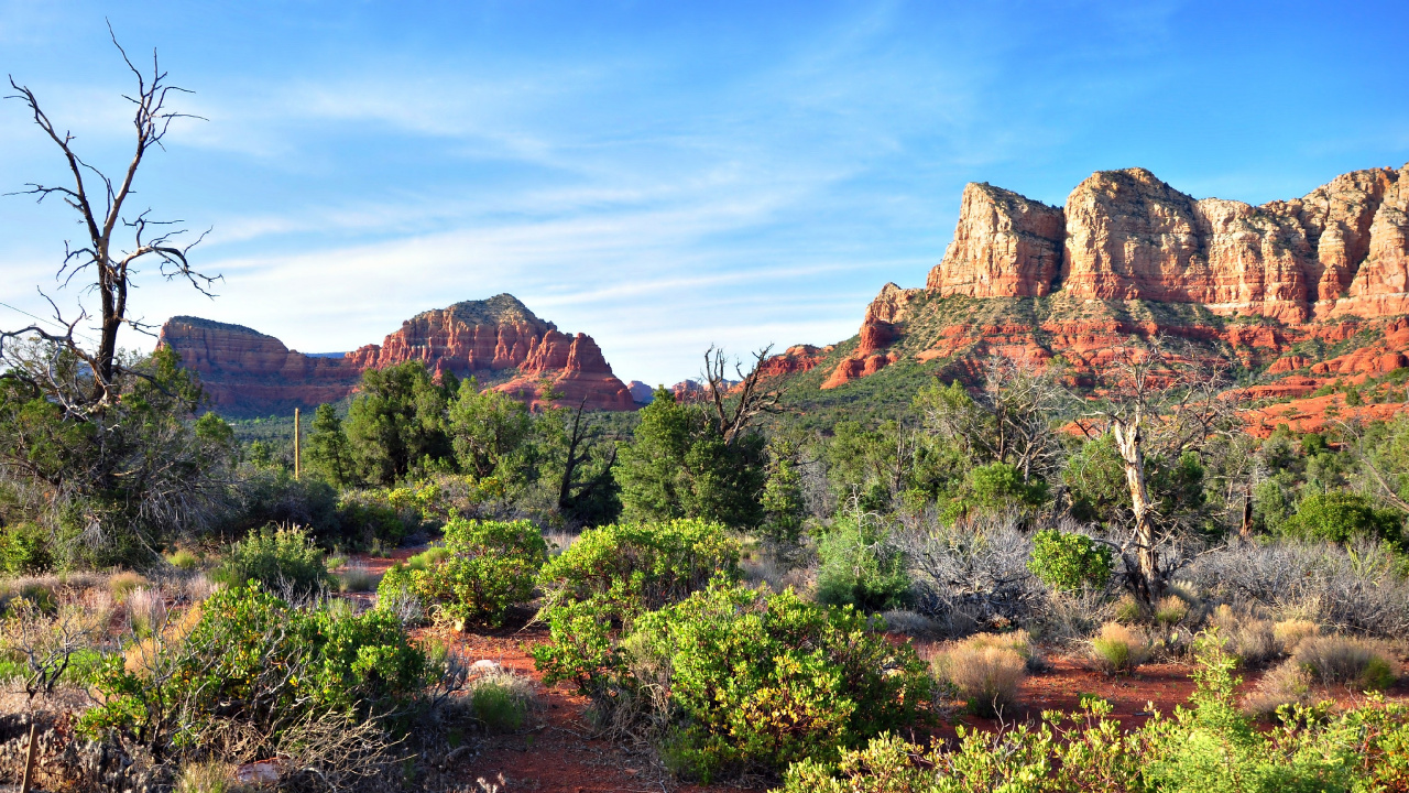 Green Trees and Brown Mountain Under Blue Sky During Daytime. Wallpaper in 1280x720 Resolution