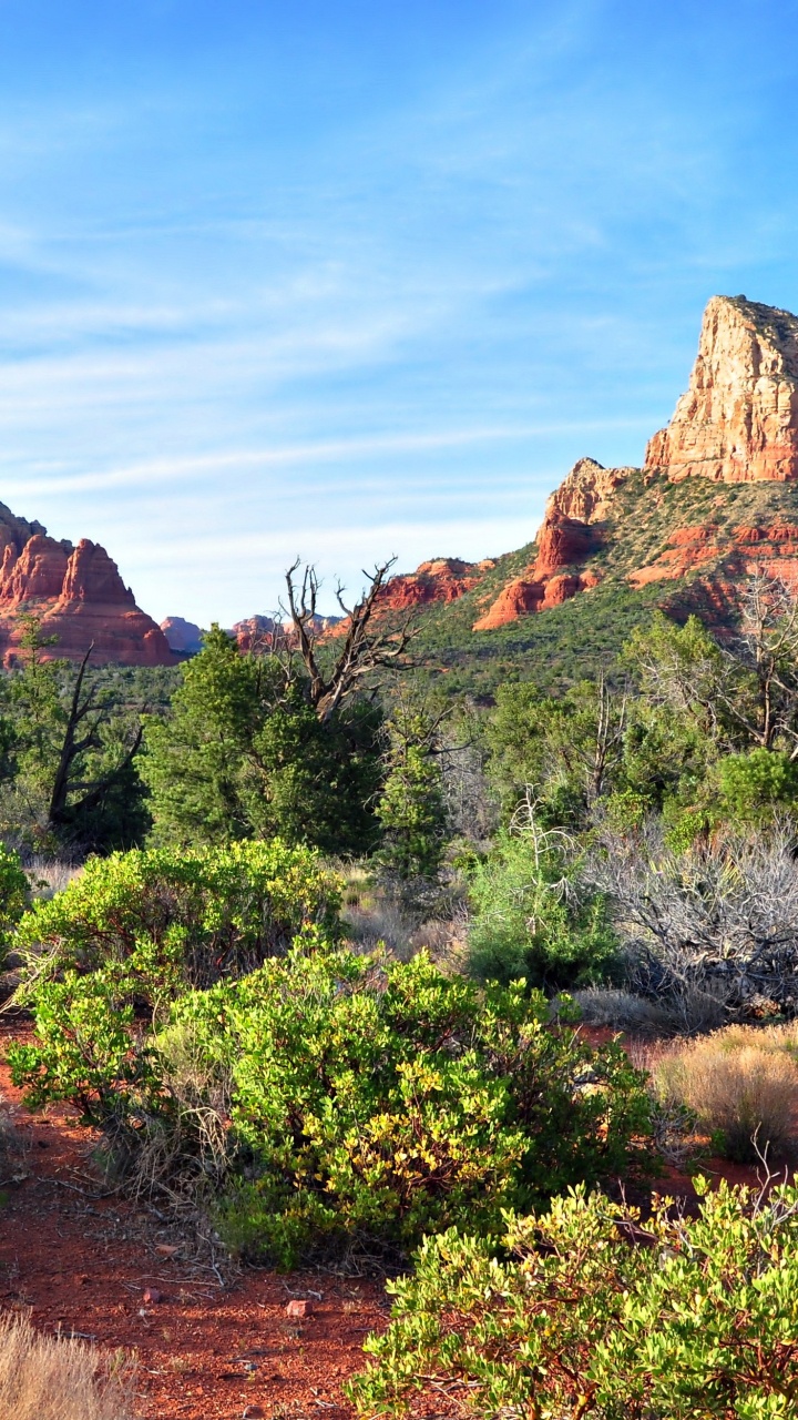 Green Trees and Brown Mountain Under Blue Sky During Daytime. Wallpaper in 720x1280 Resolution