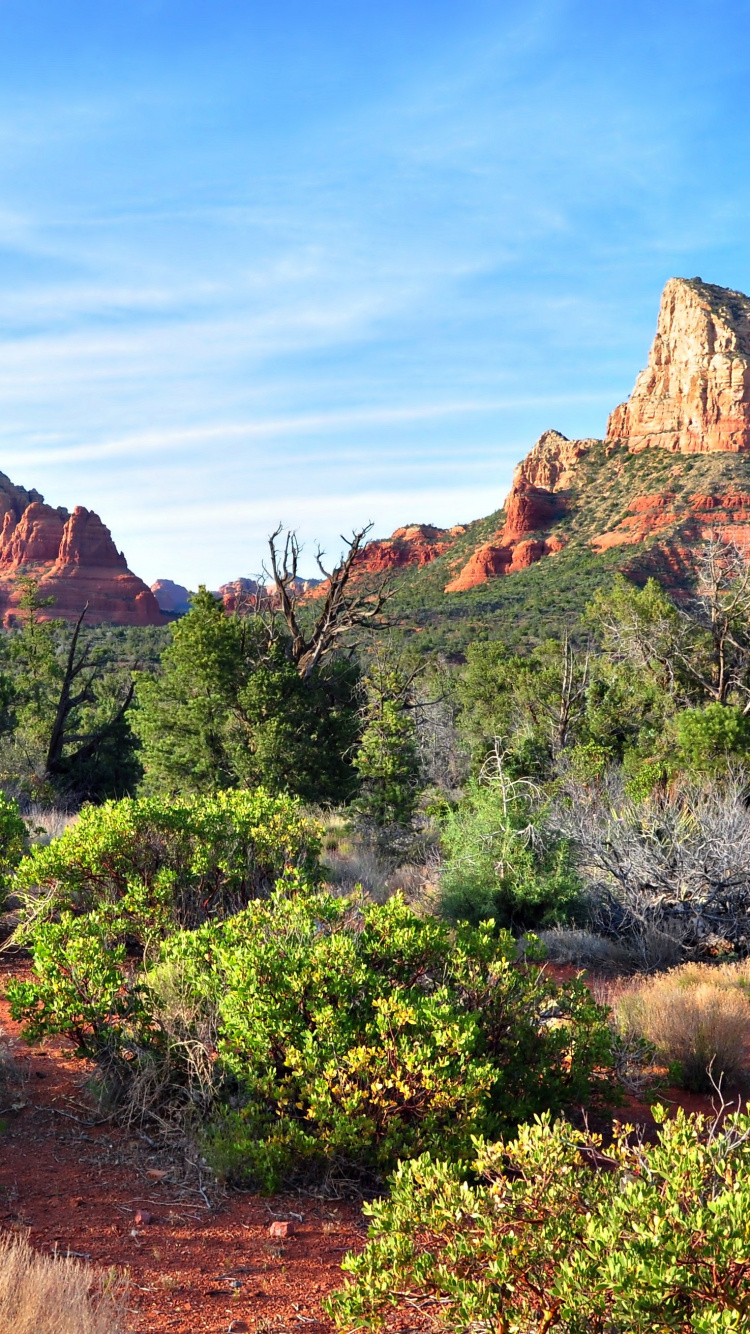 Green Trees and Brown Mountain Under Blue Sky During Daytime. Wallpaper in 750x1334 Resolution