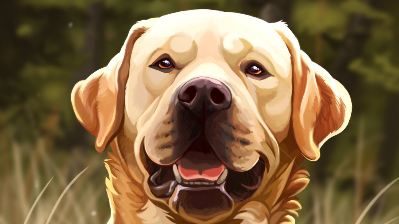 Cachorro Labrador Retriever Amarillo en Campo de Hierba. Wallpaper in 1366x768 Resolution