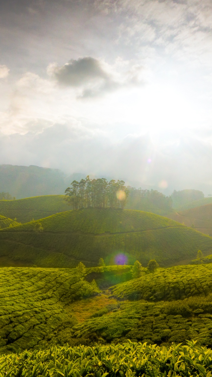 Tagsüber Grüne Wiese Unter Bewölktem Himmel. Wallpaper in 720x1280 Resolution