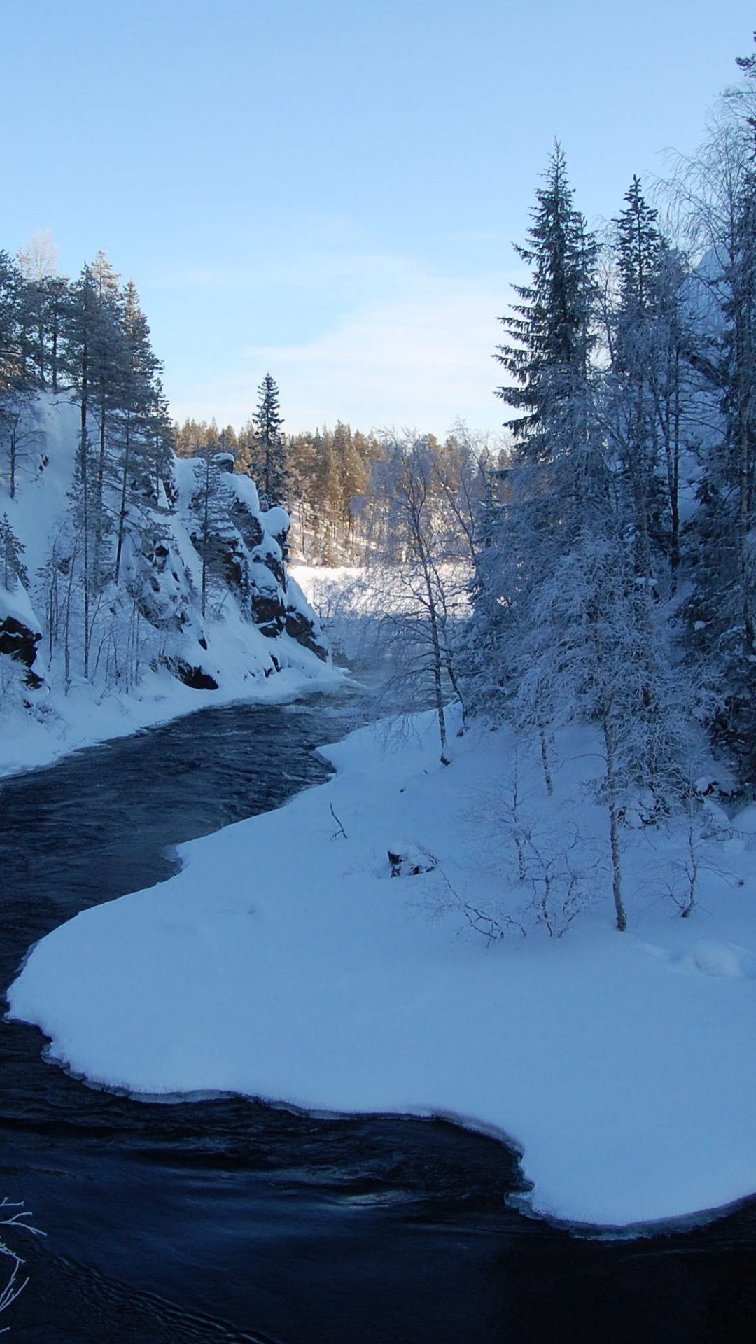 Arbres Couverts de Neige Pendant la Journée. Wallpaper in 1080x1920 Resolution