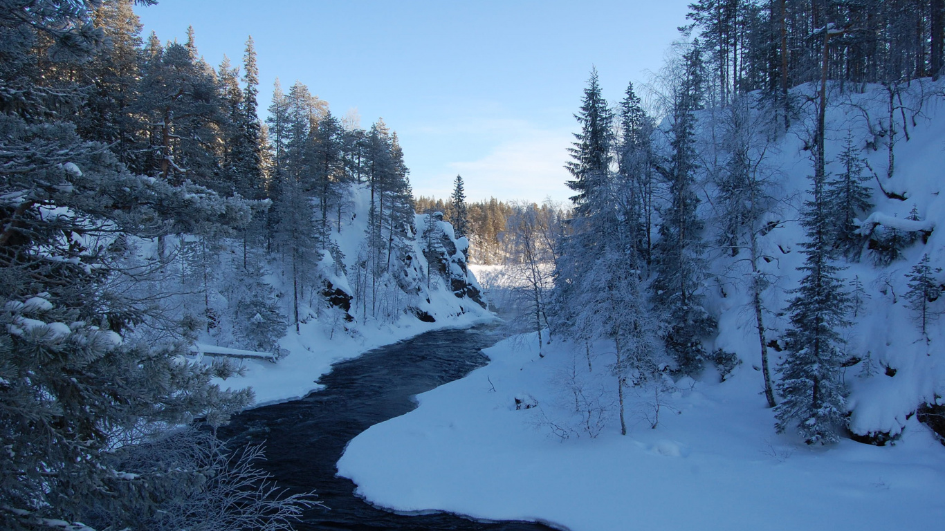 Arbres Couverts de Neige Pendant la Journée. Wallpaper in 1366x768 Resolution