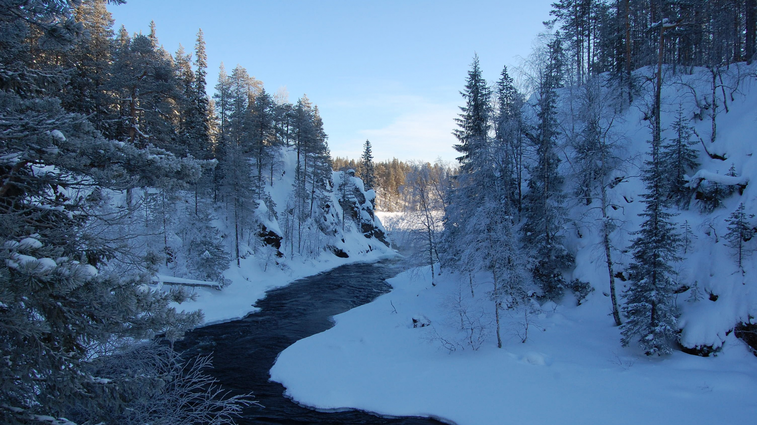 Arbres Couverts de Neige Pendant la Journée. Wallpaper in 2560x1440 Resolution