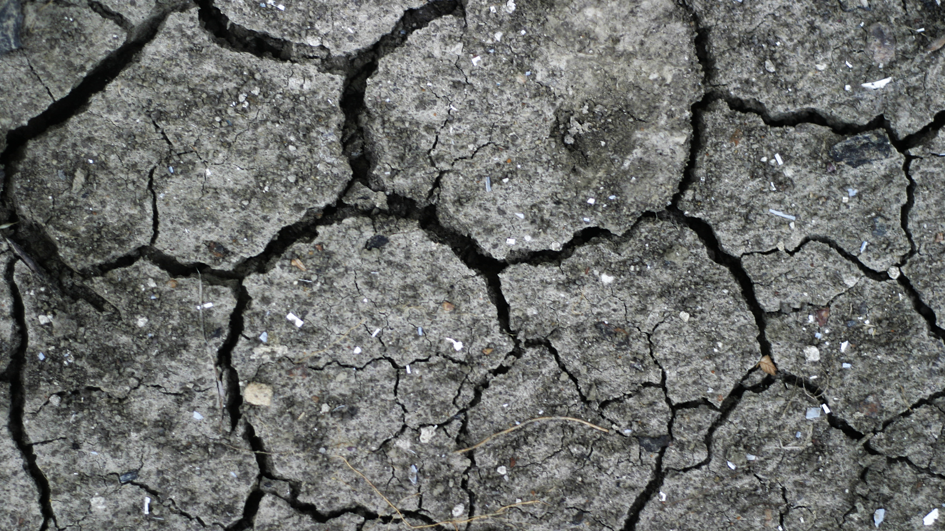 Pavé de Béton Gris et Noir. Wallpaper in 1920x1080 Resolution