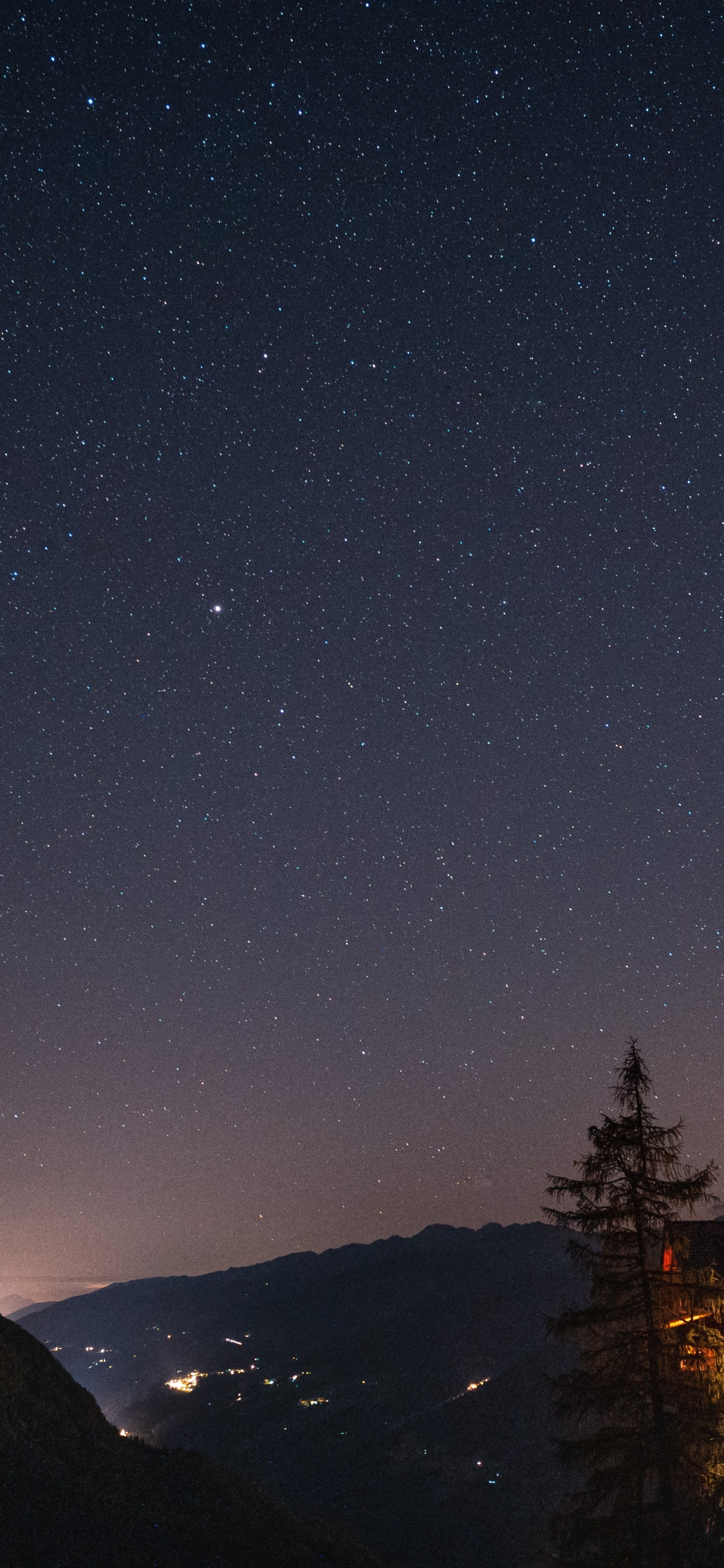 Silhouette D'arbres Pendant la Nuit. Wallpaper in 1125x2436 Resolution