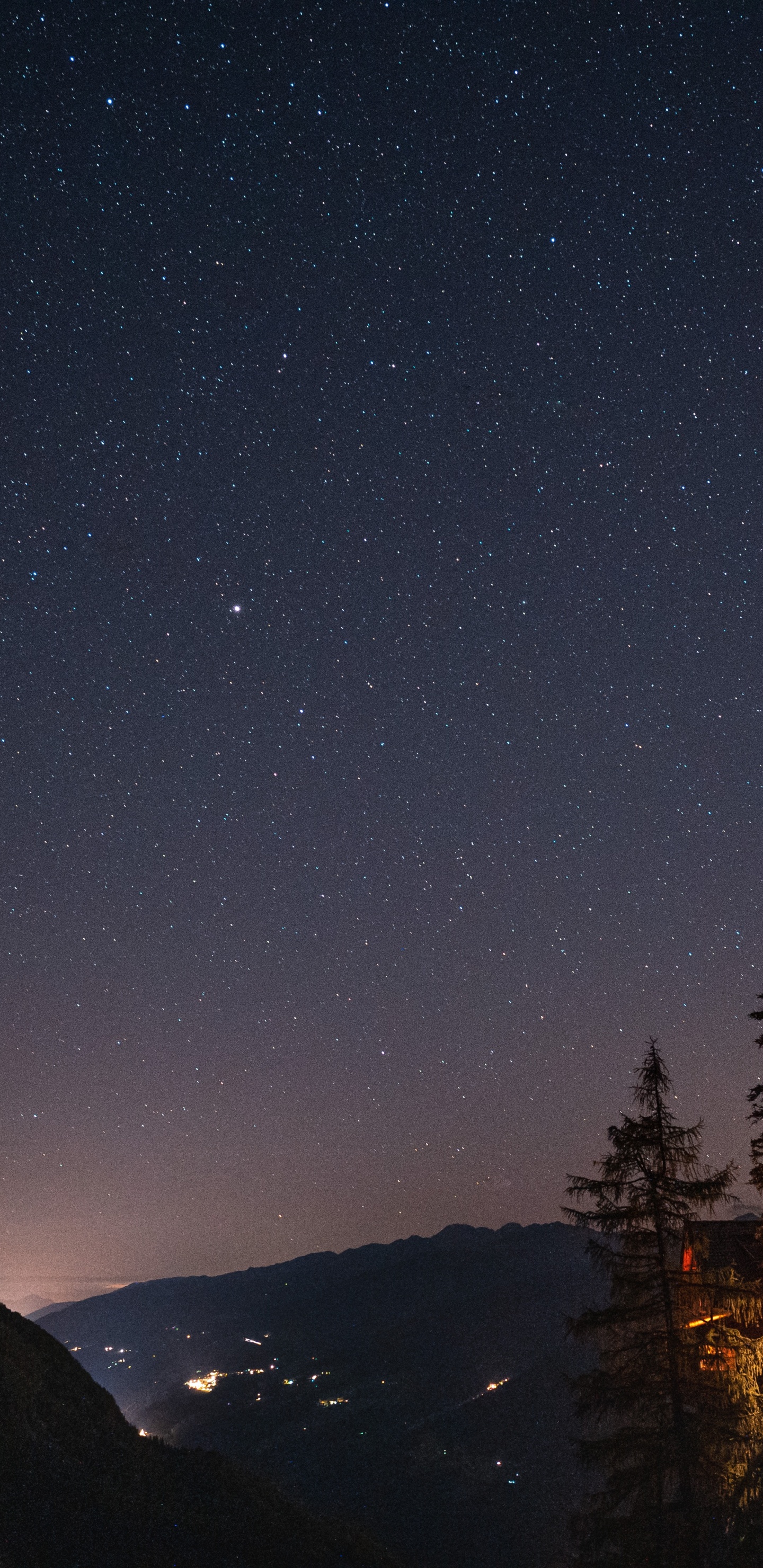 Silhouette of Trees During Night Time. Wallpaper in 1440x2960 Resolution