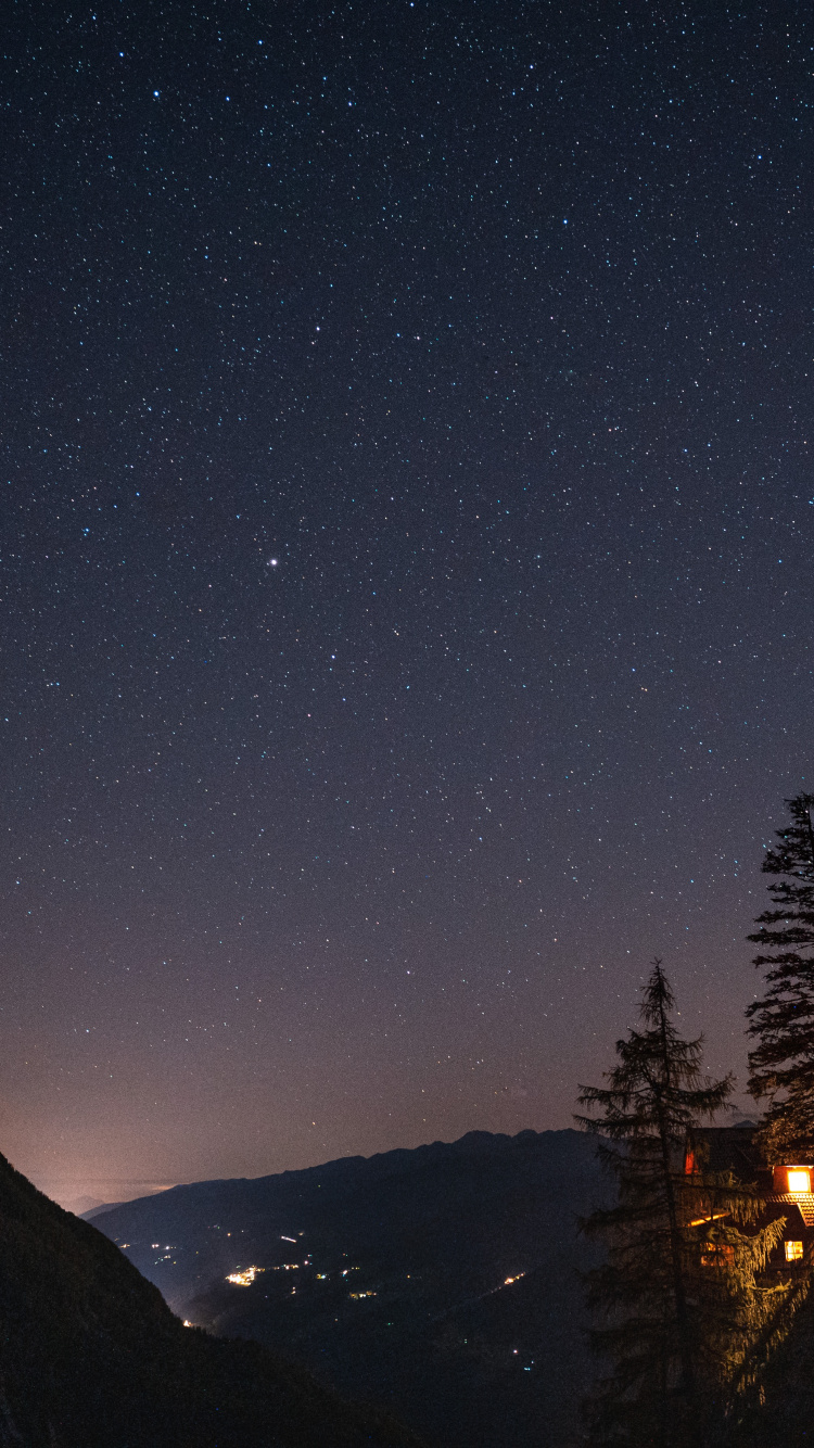 Silhouette of Trees During Night Time. Wallpaper in 750x1334 Resolution