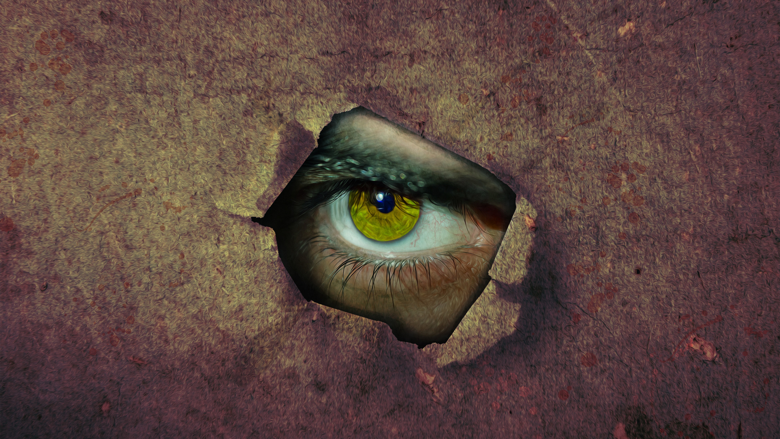 Peinture Des Yeux Bruns et Noirs. Wallpaper in 2560x1440 Resolution